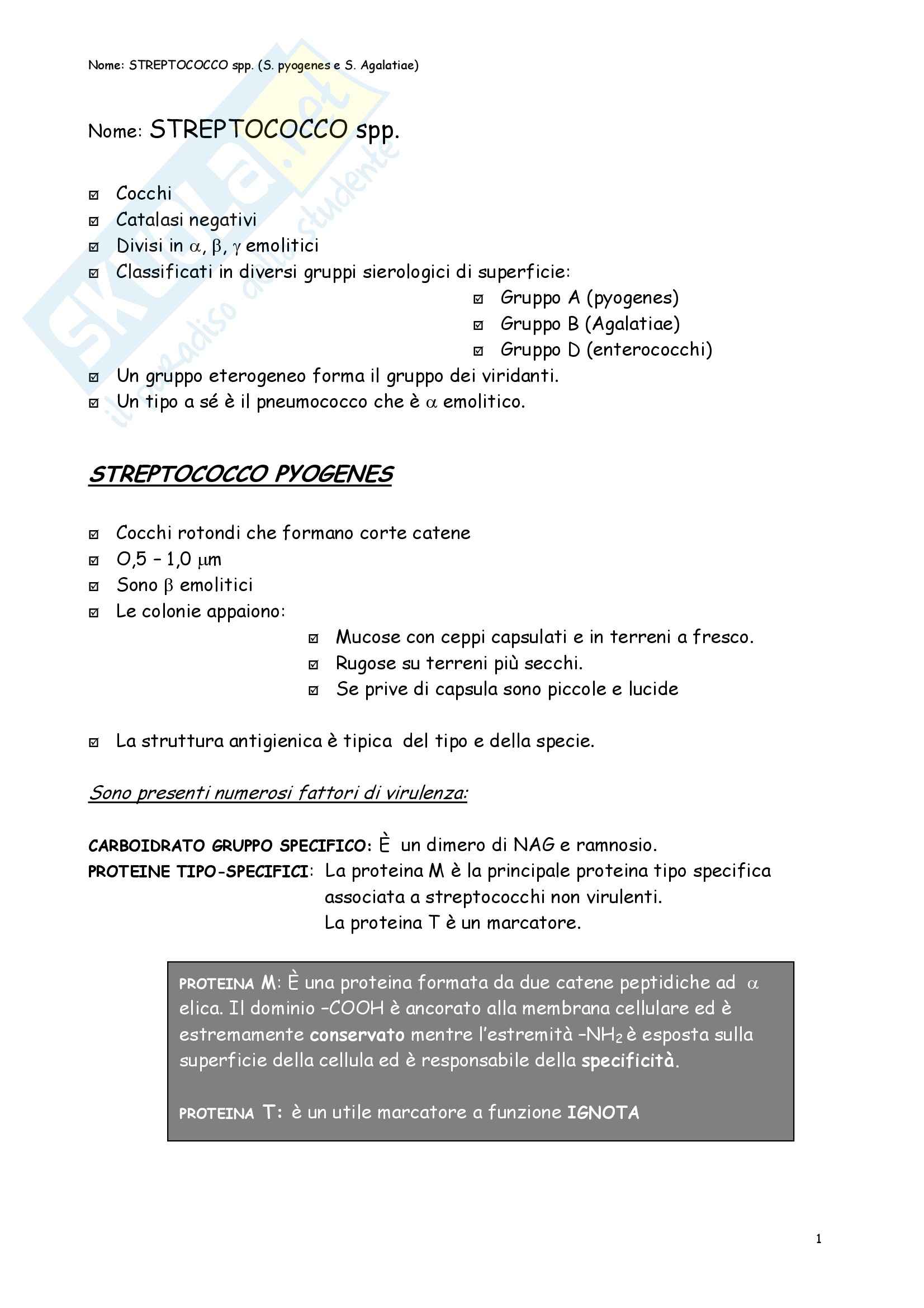 Microbiologia – Batteriologia Pag. 11
