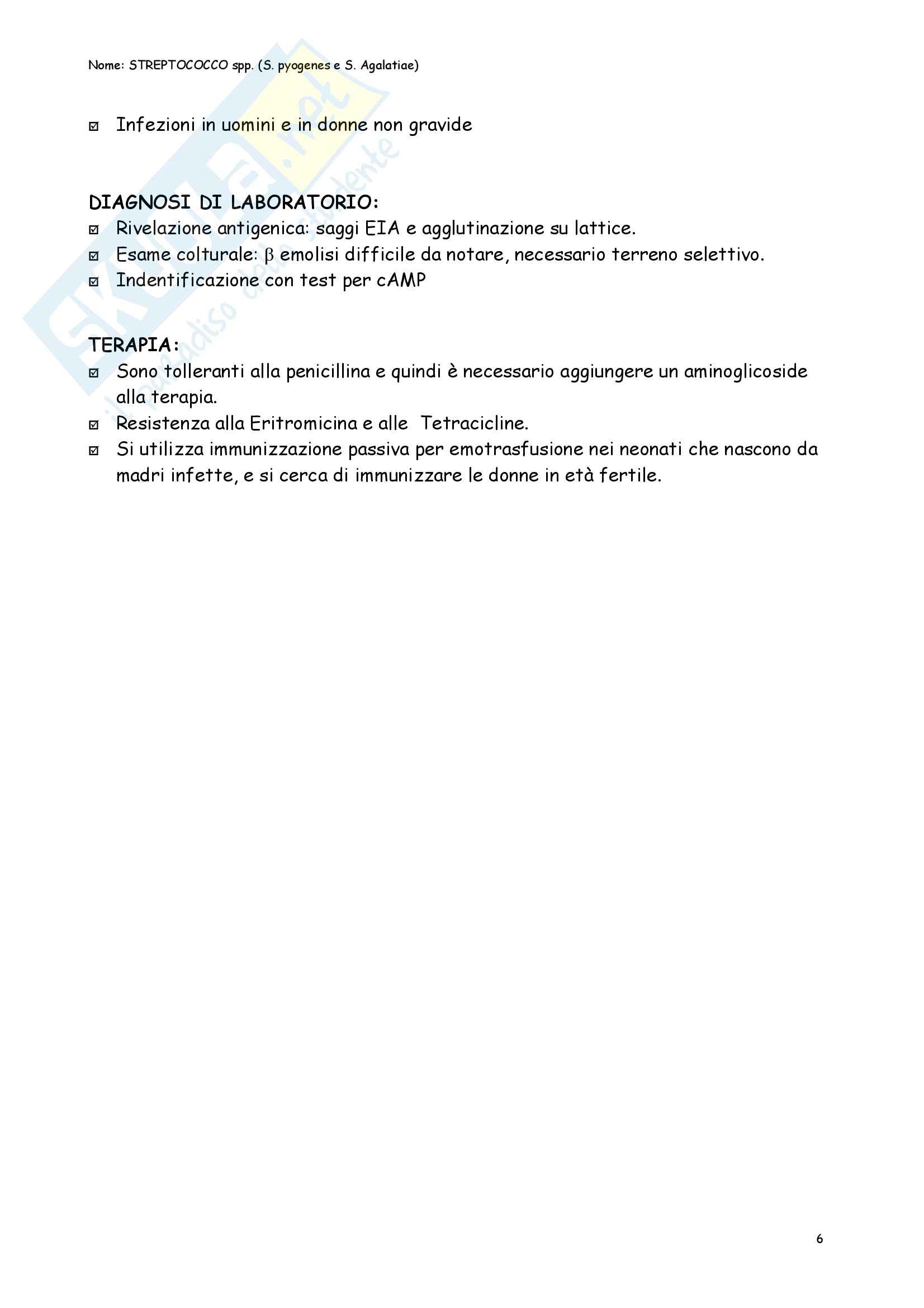 Microbiologia – Batteriologia Pag. 16