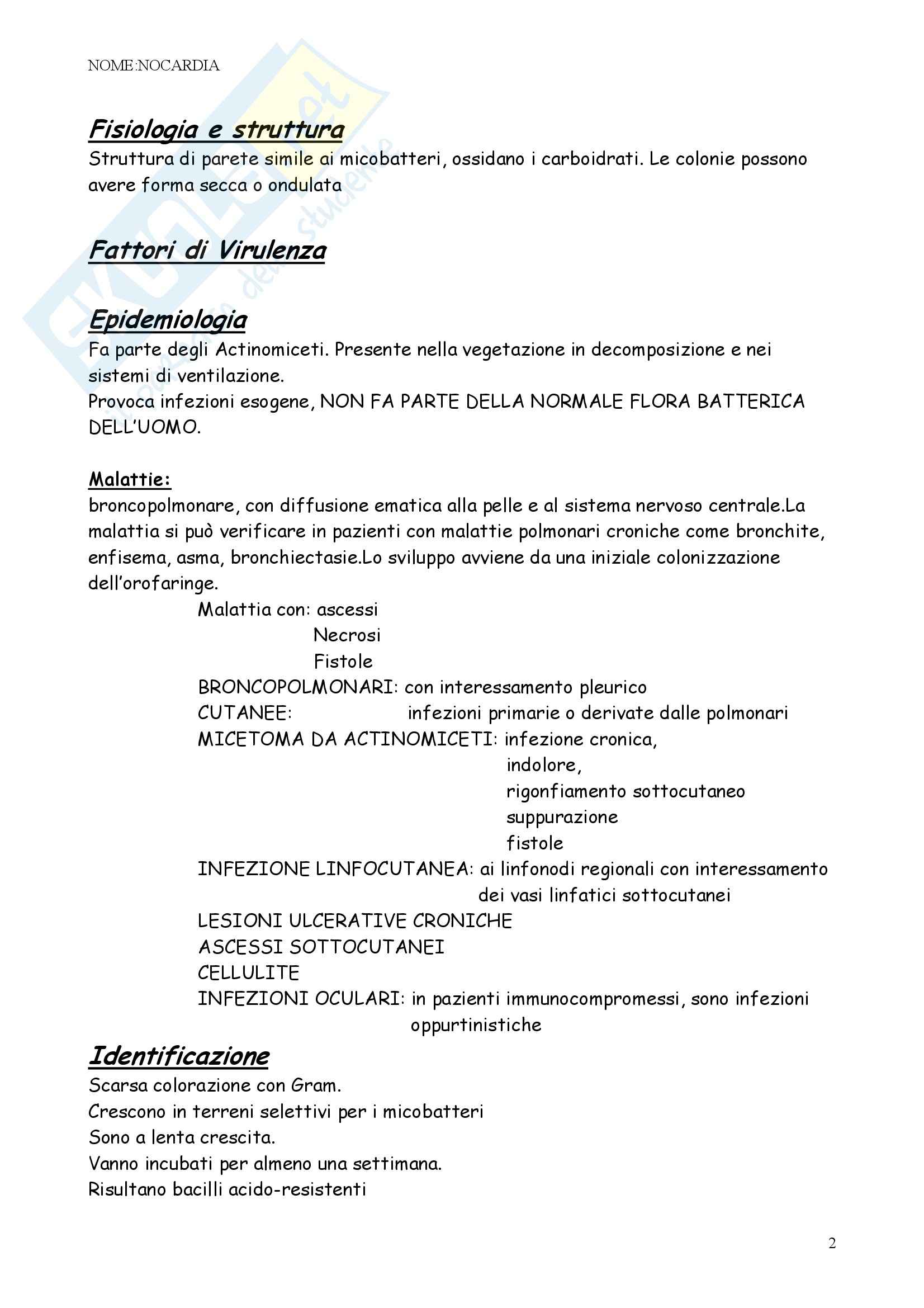 Microbiologia – Batteriologia Pag. 31