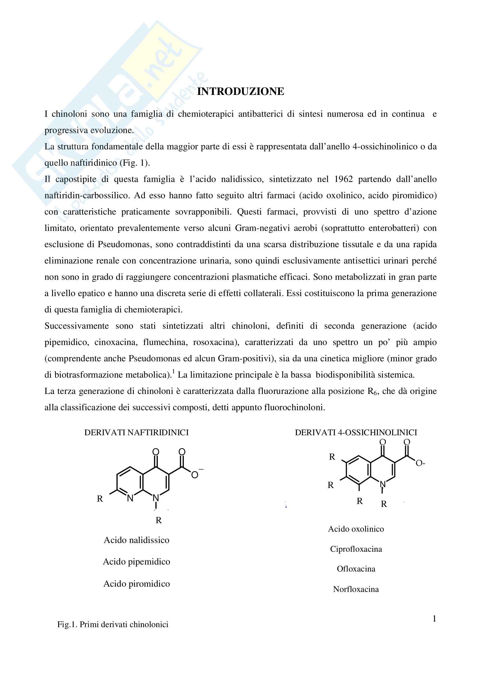 Chimica farmaceutica - fluorochinoloni Pag. 1