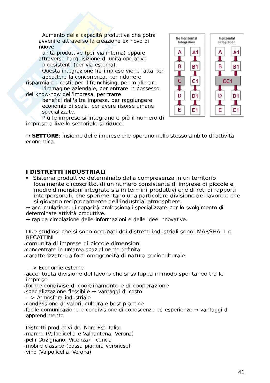 Appunti completi Business e Management Pag. 41
