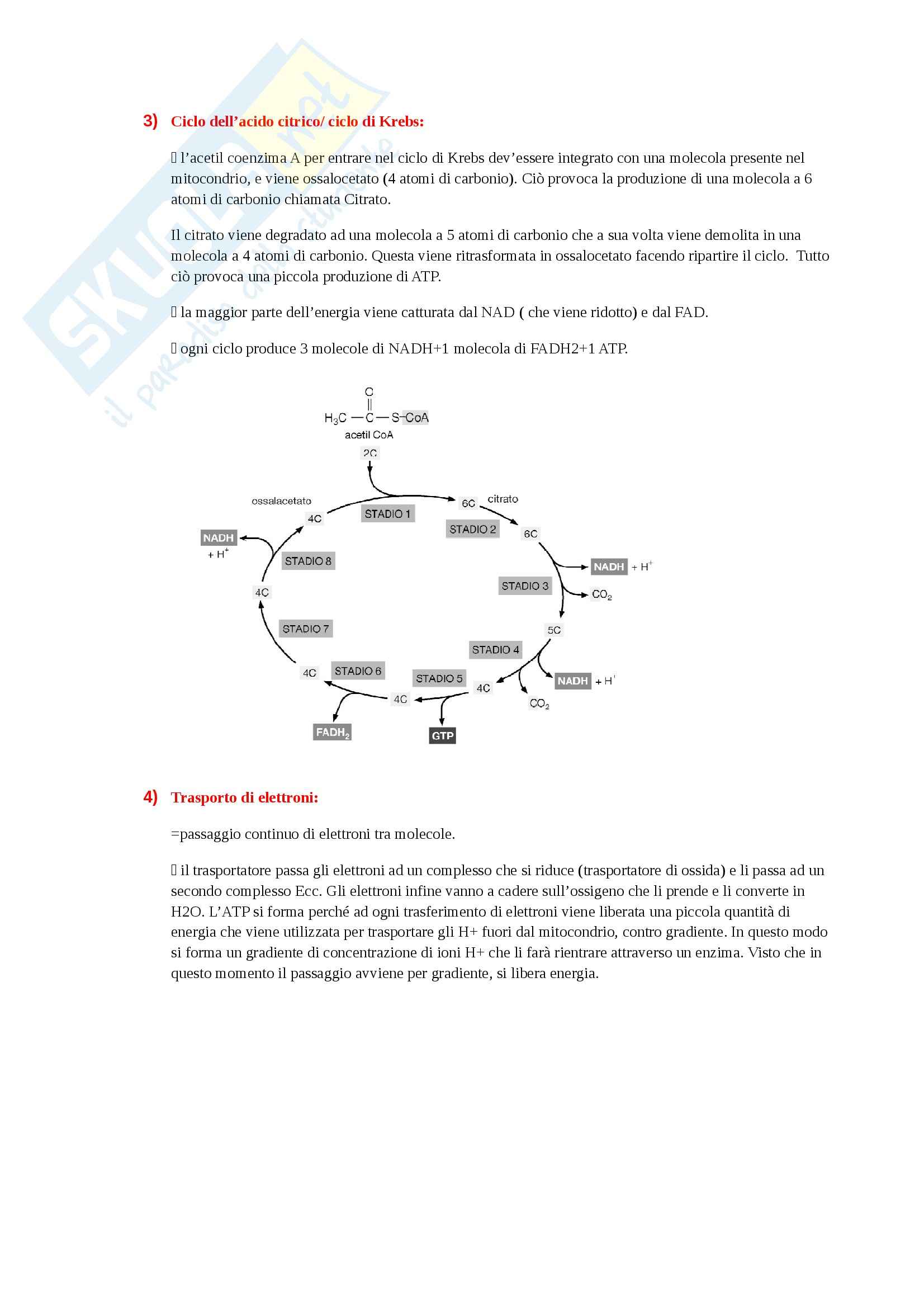 Elementi Di Biologia E Genetica Pdf