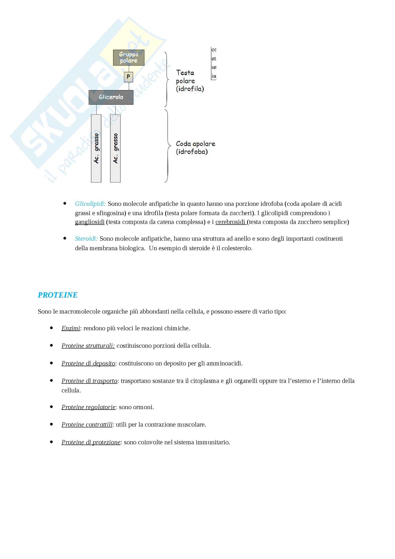 Elementi Di Biologia E Genetica Pdf