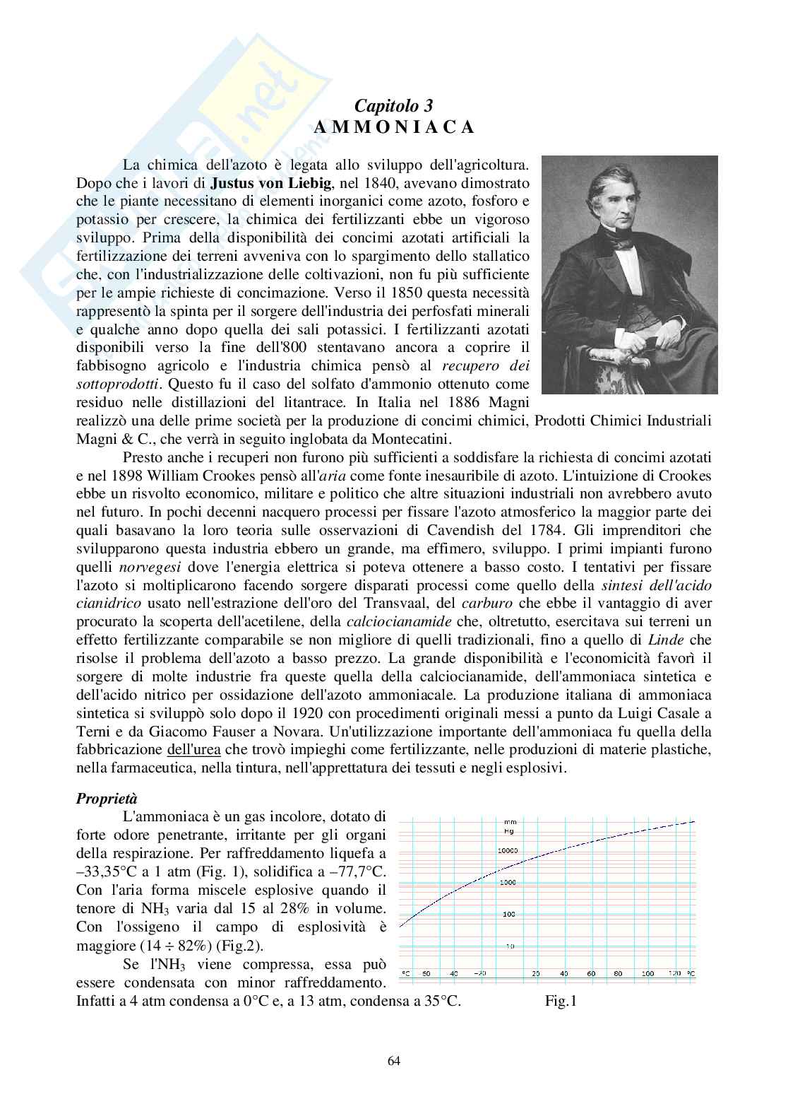 Ammoniaca dalla A alla Z Pag. 1