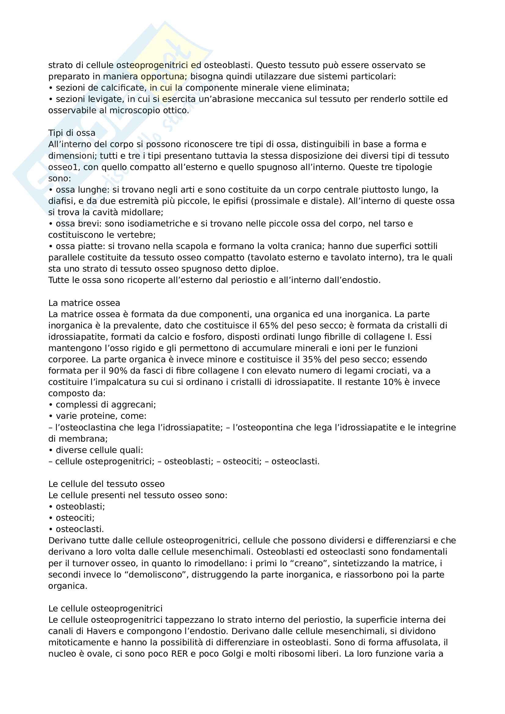 Istologia, appunti completi Pag. 31
