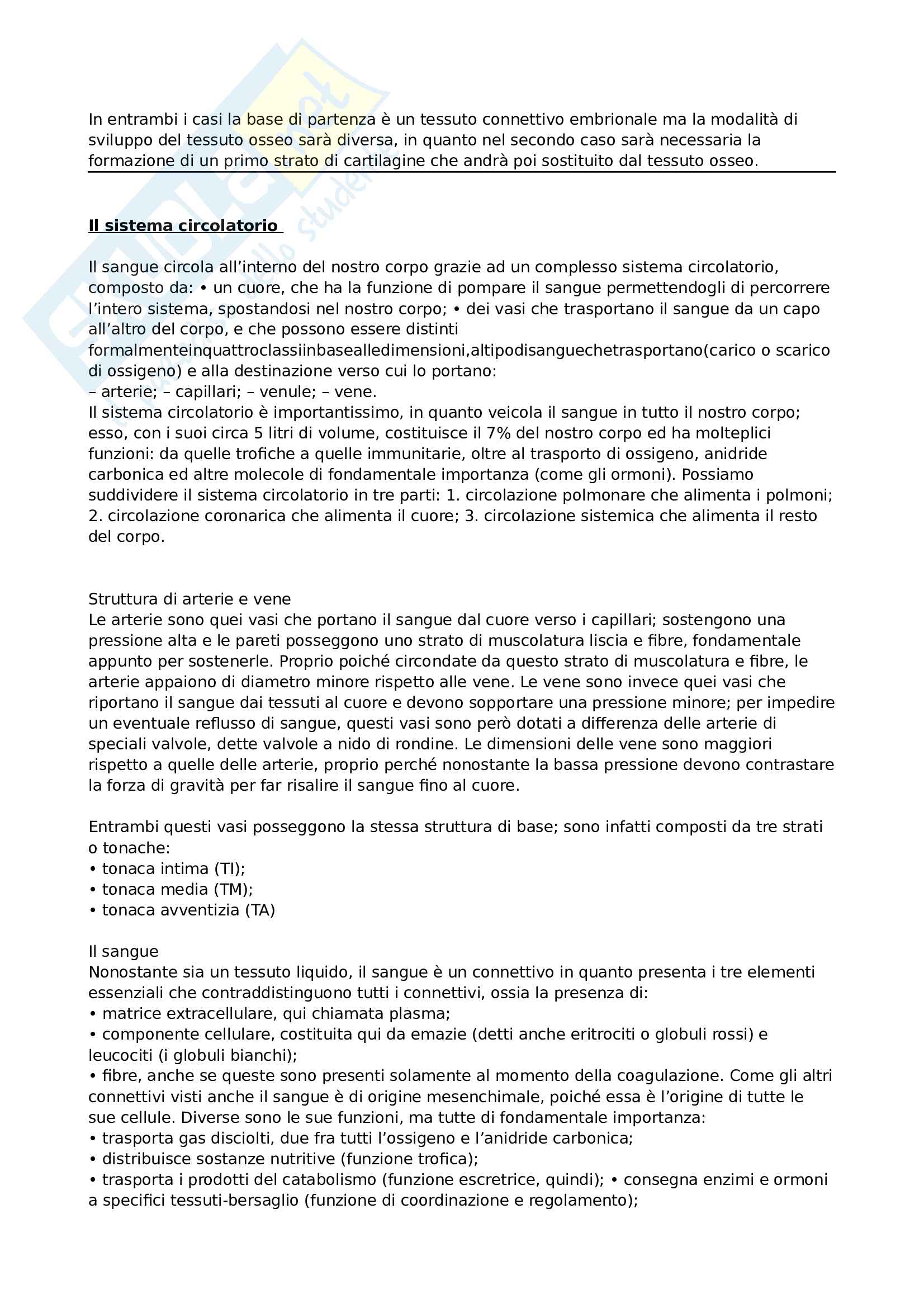 Istologia, appunti completi Pag. 36