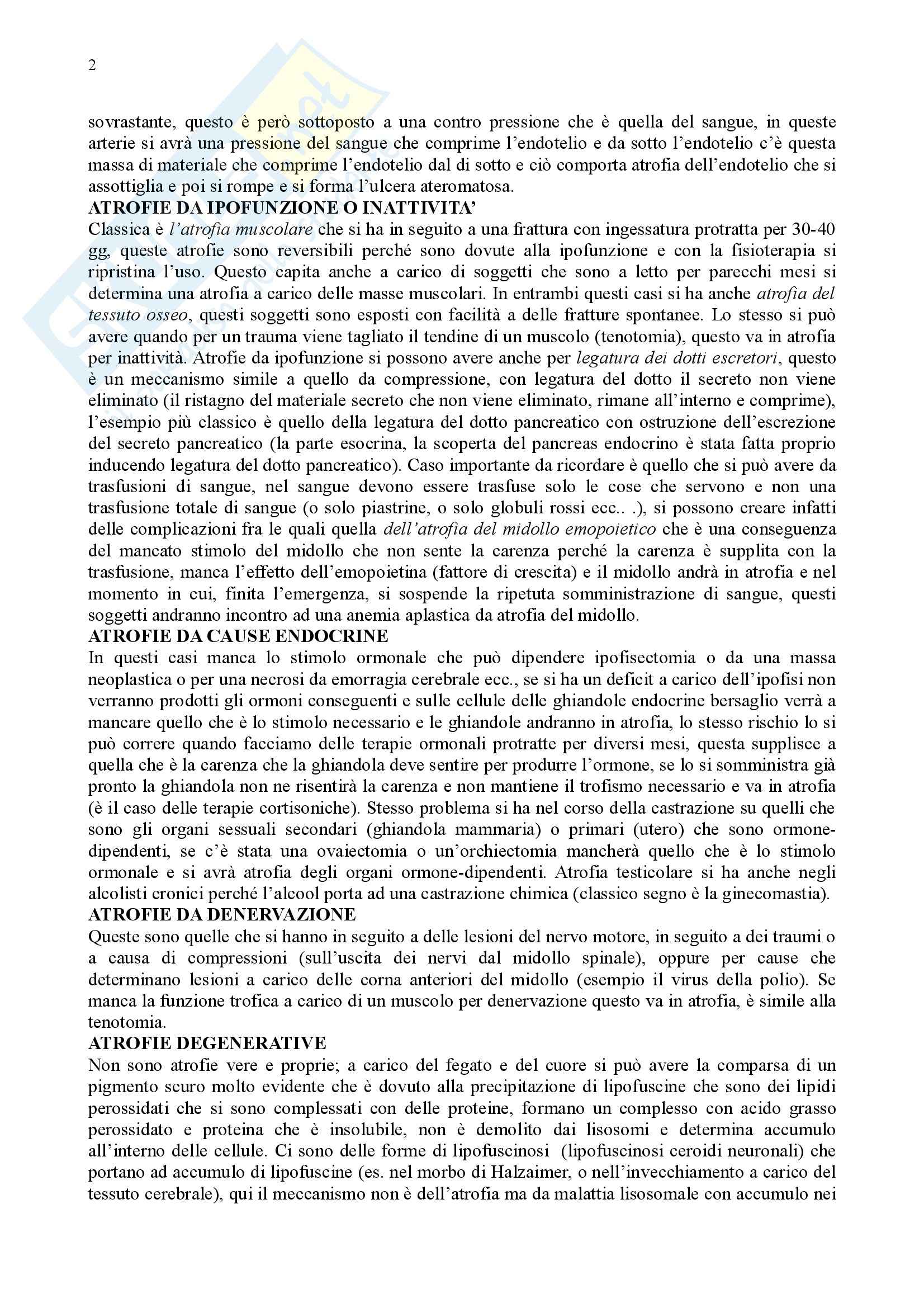 Fisiopatologia Pag. 2
