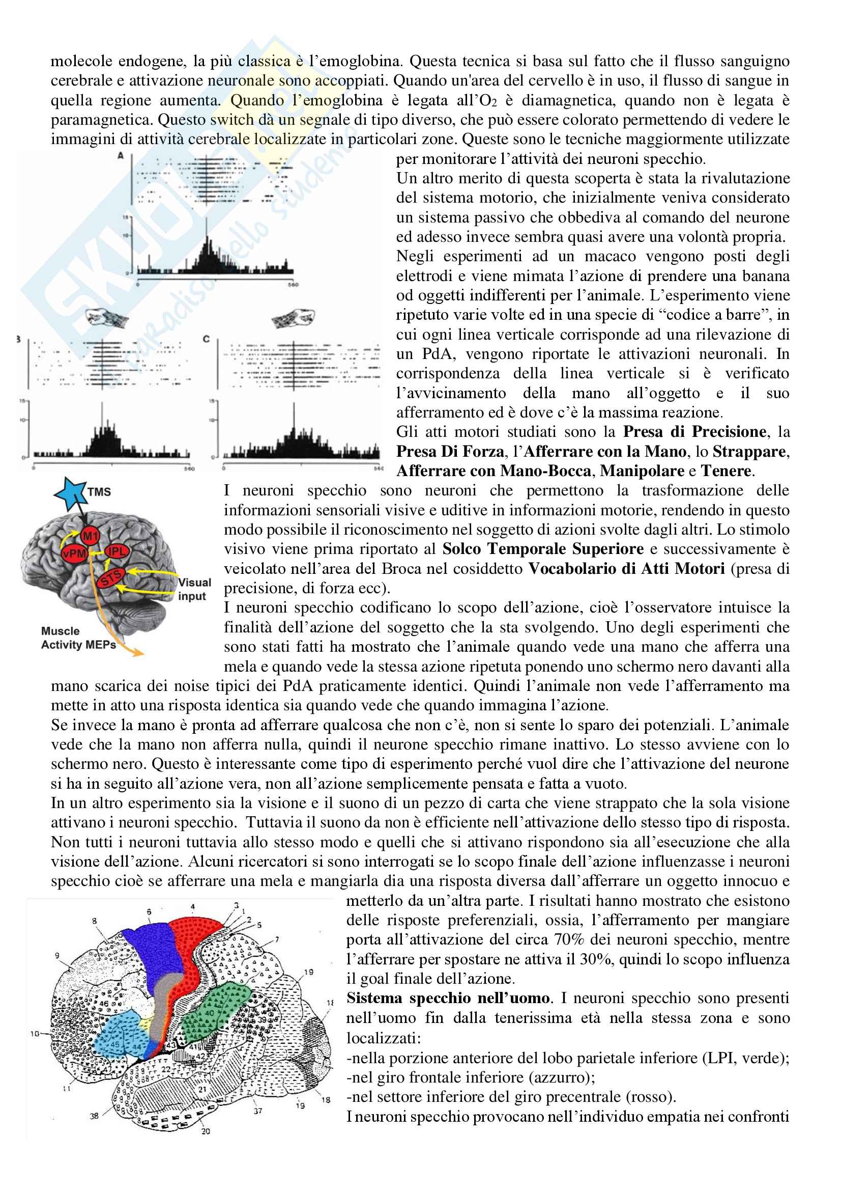 Riassunto esame Neurofisiologia, Prof.ssa S. Incerpi, libro consigliato Principi di neuroscienze, Kandel (3a edizione) Pag. 91