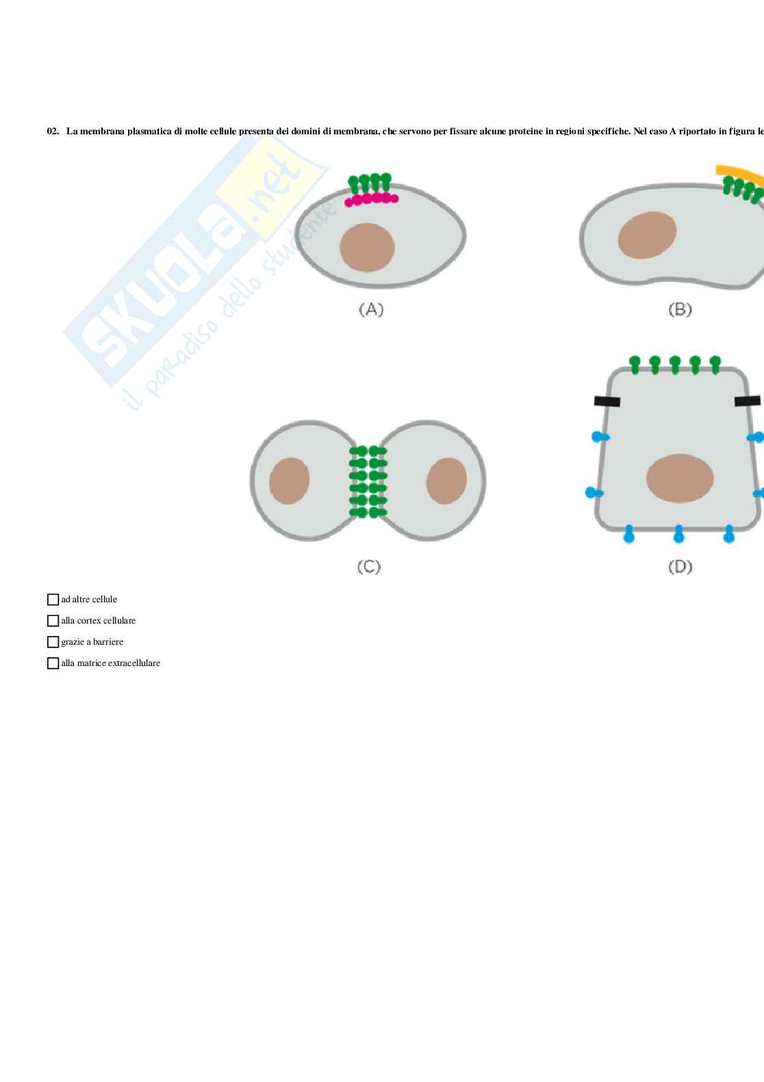 Paniere Biologia generale  - Risposte multiple - aggiornato (2026) Pag. 21