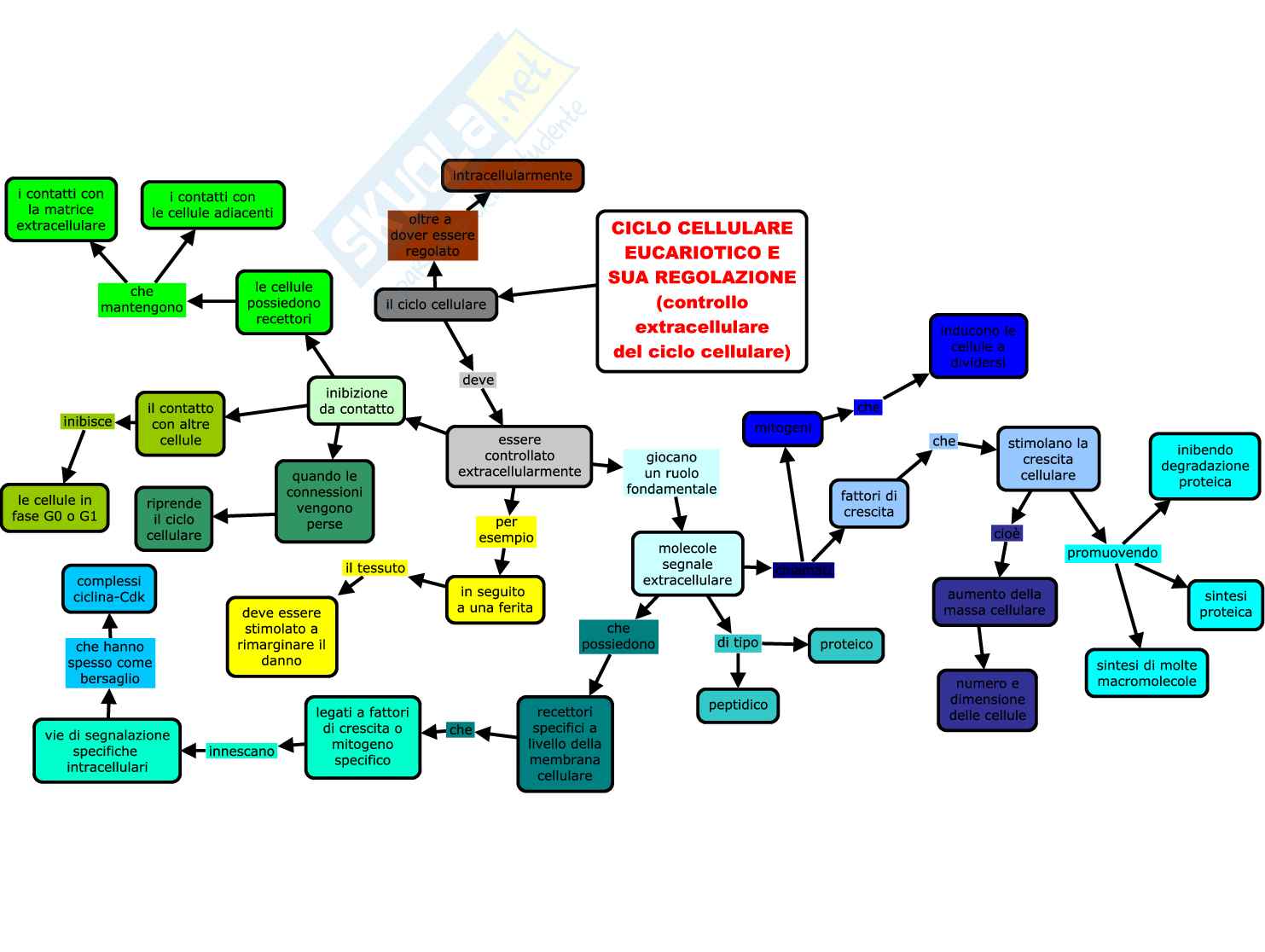 Schemi di Citologia Pag. 16