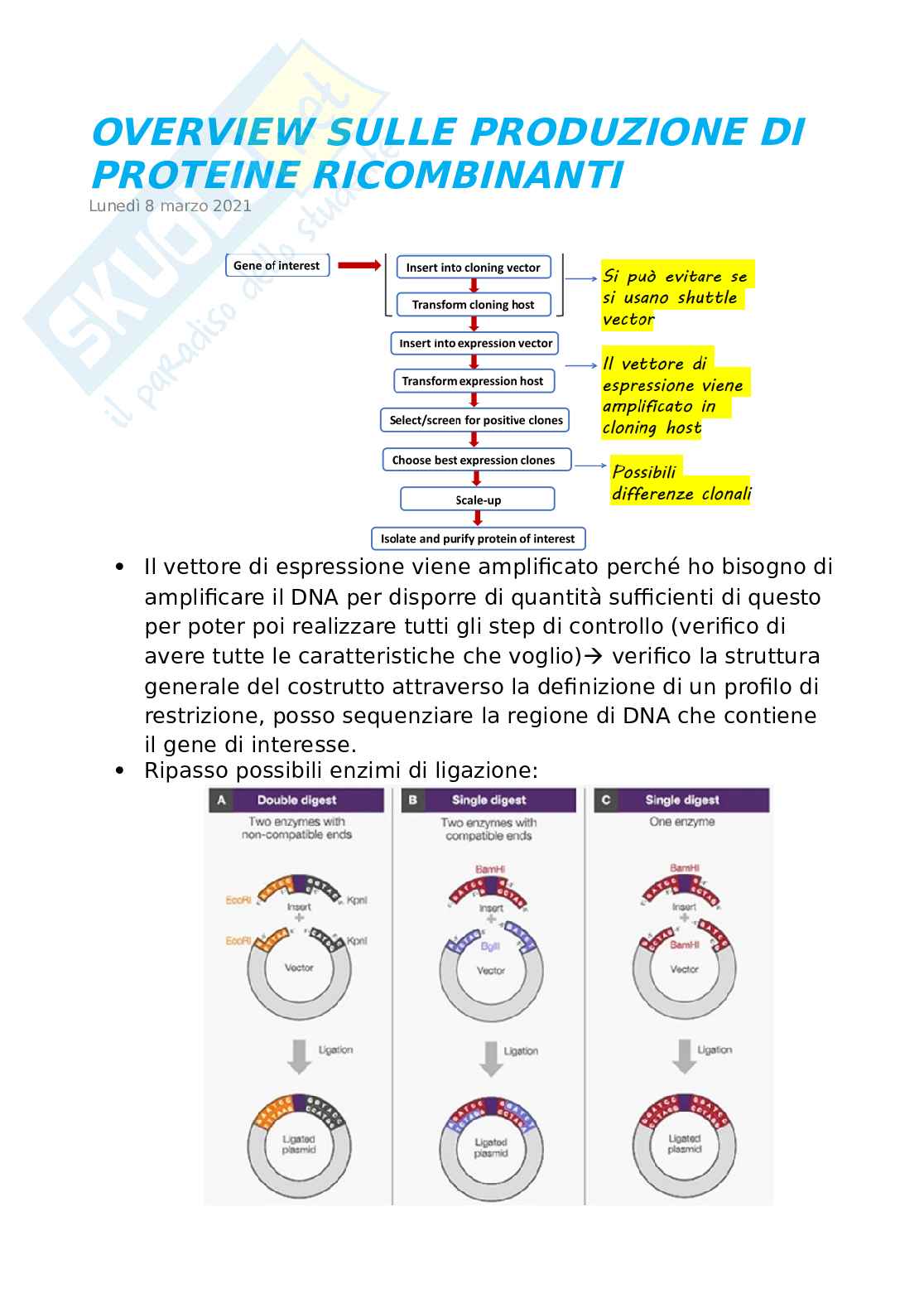 Overview sulle proteine ricombinanti Pag. 1
