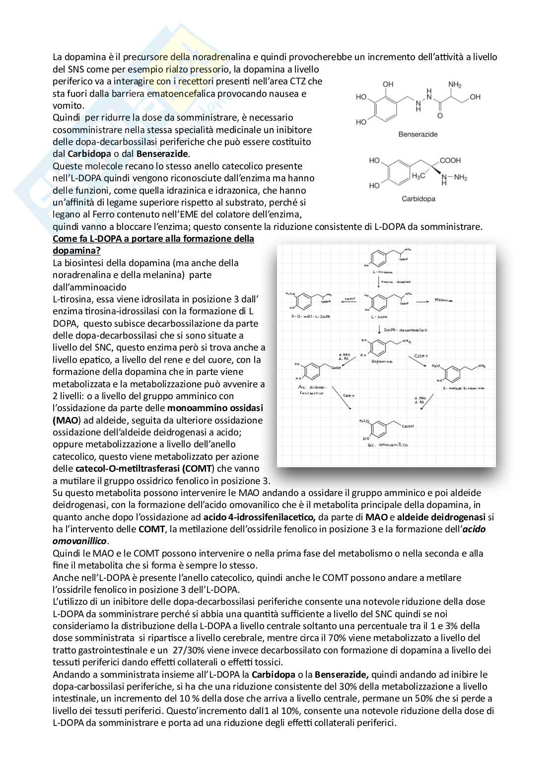 Appunti esame lezioni 7-11 su 33 di Chimica farmaceutica e tossicologica 2 Pag. 2
