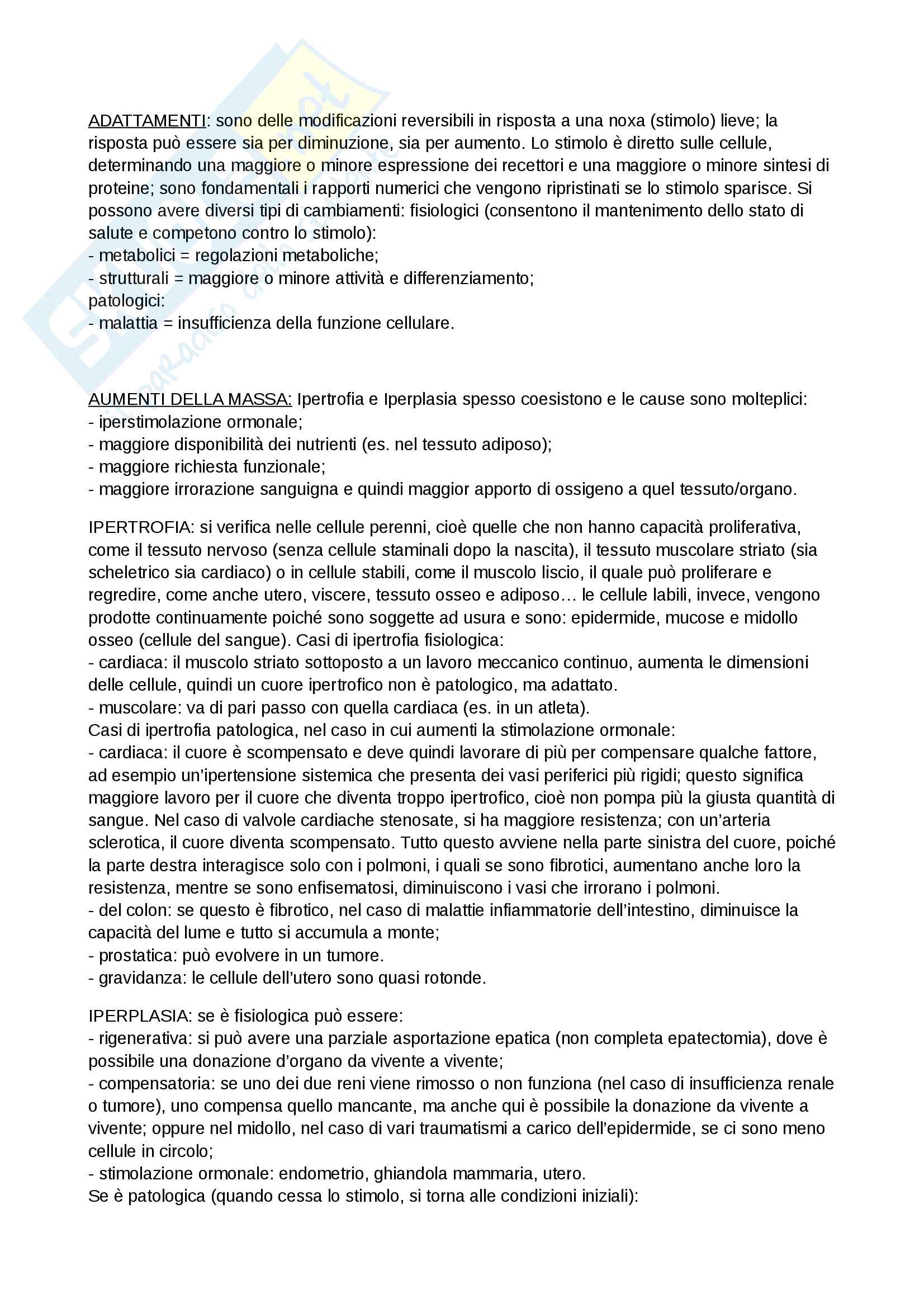 Introduzione Pag. 1