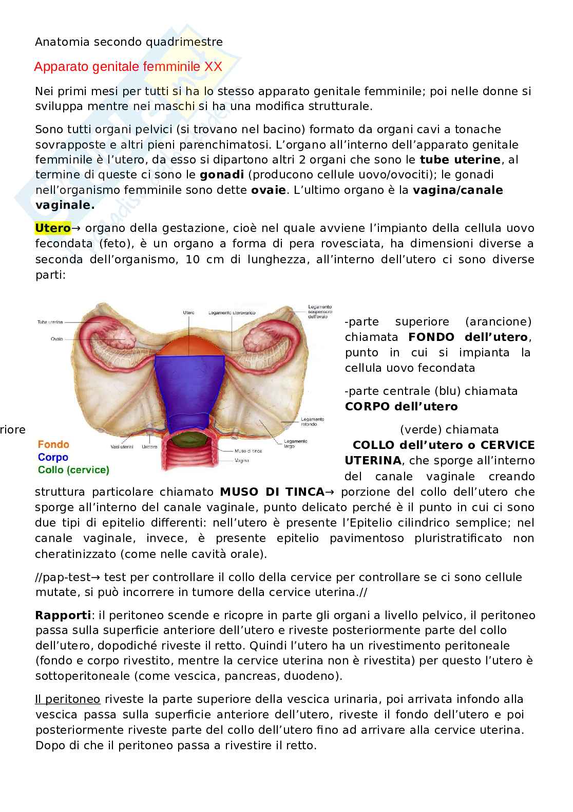 Appunti Anatomia Pag. 1
