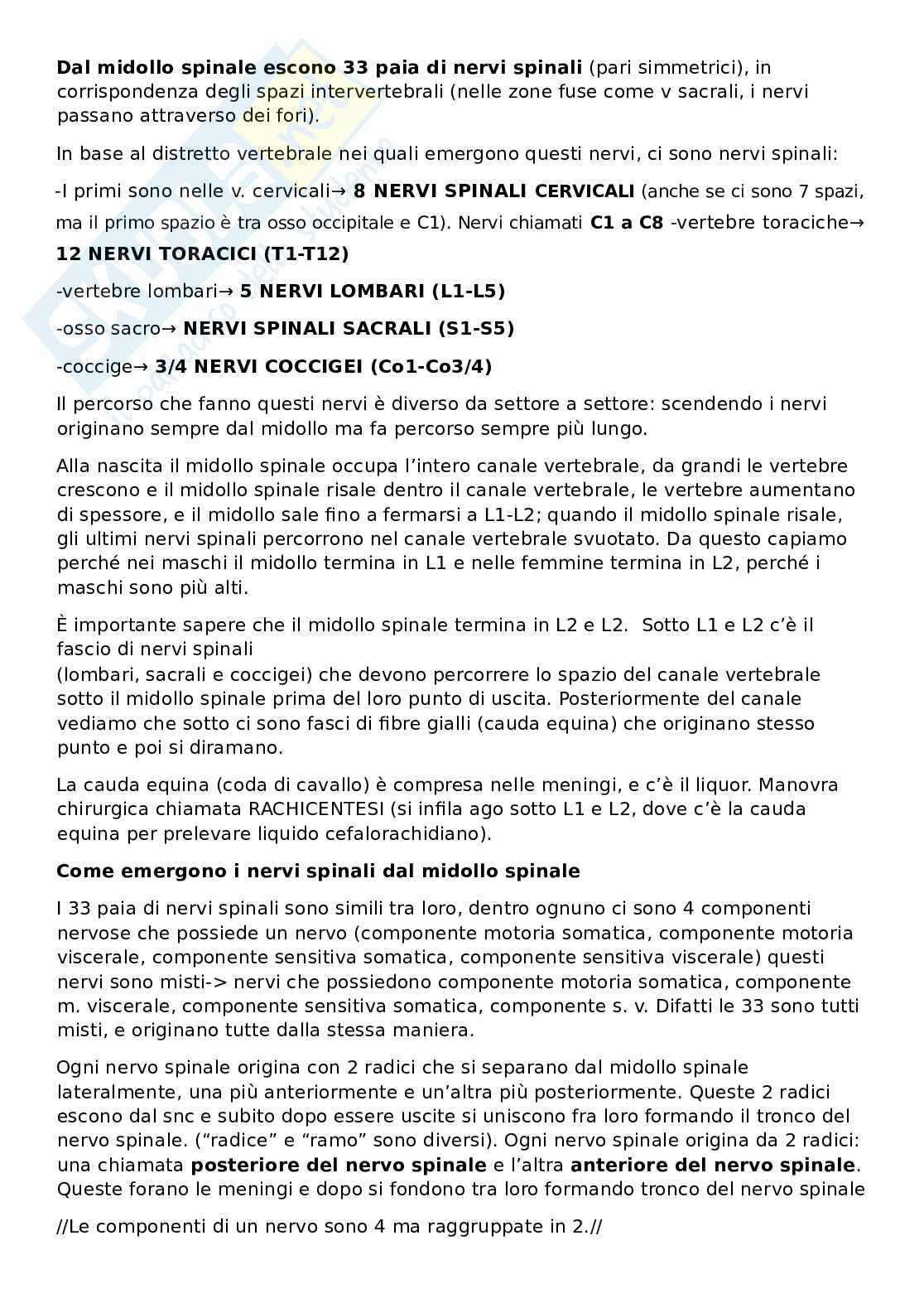 Appunti Anatomia Pag. 11
