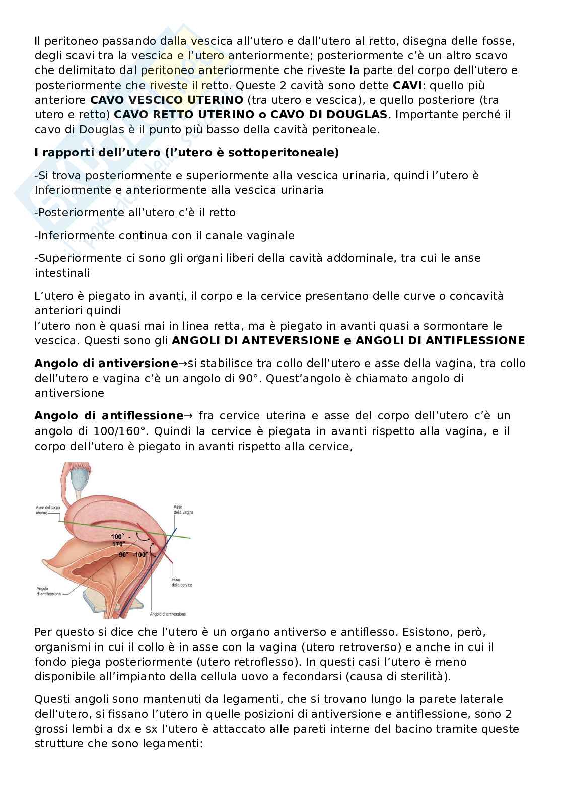 Appunti Anatomia Pag. 2