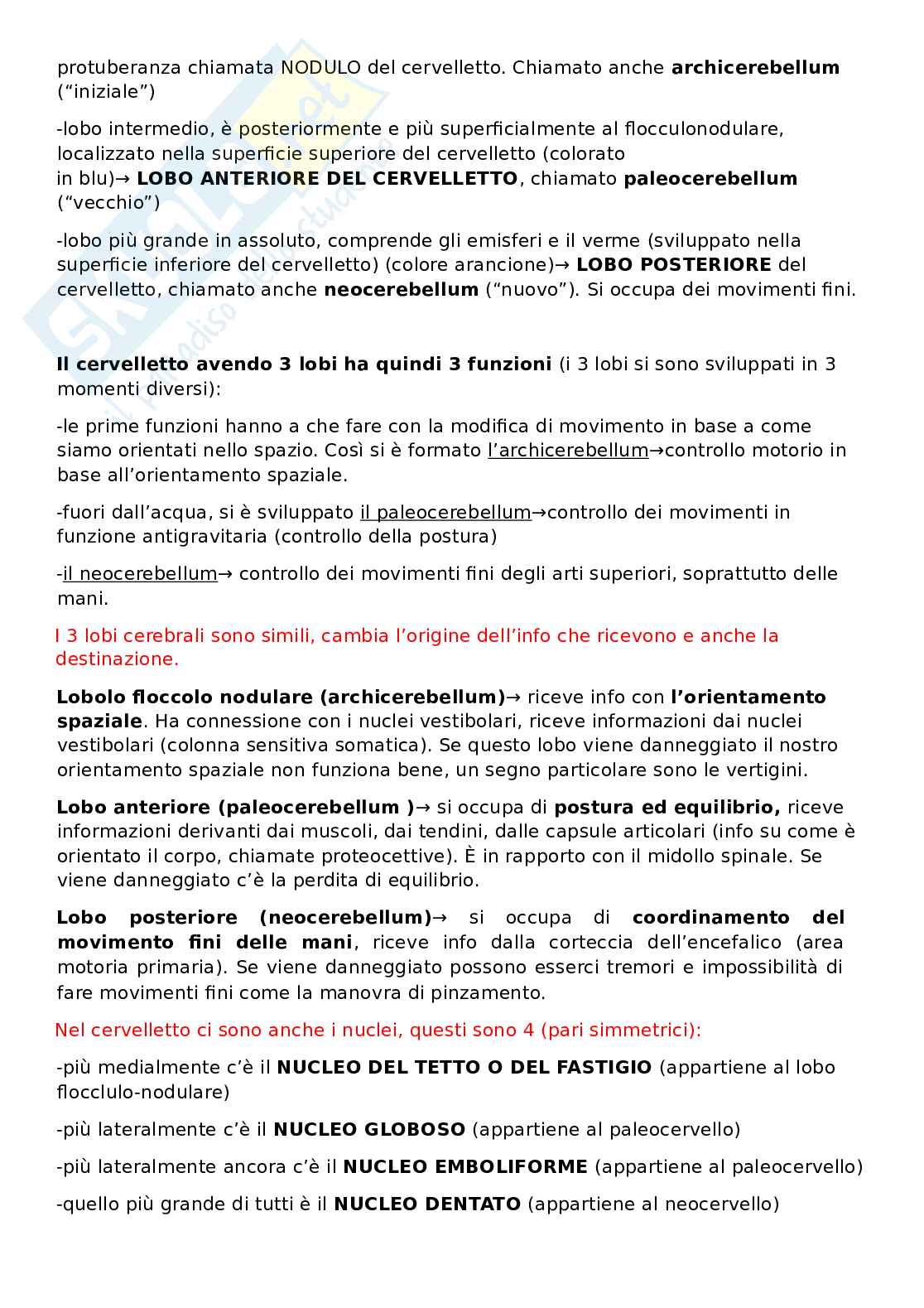 Appunti Anatomia Pag. 21