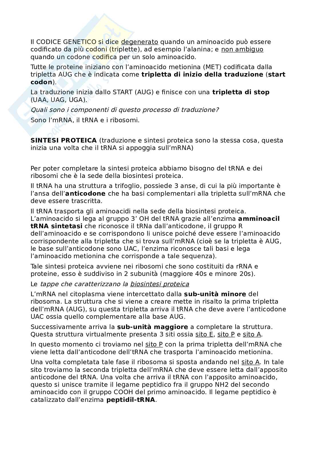 Appunti Metodologie biomolecolari Pag. 11