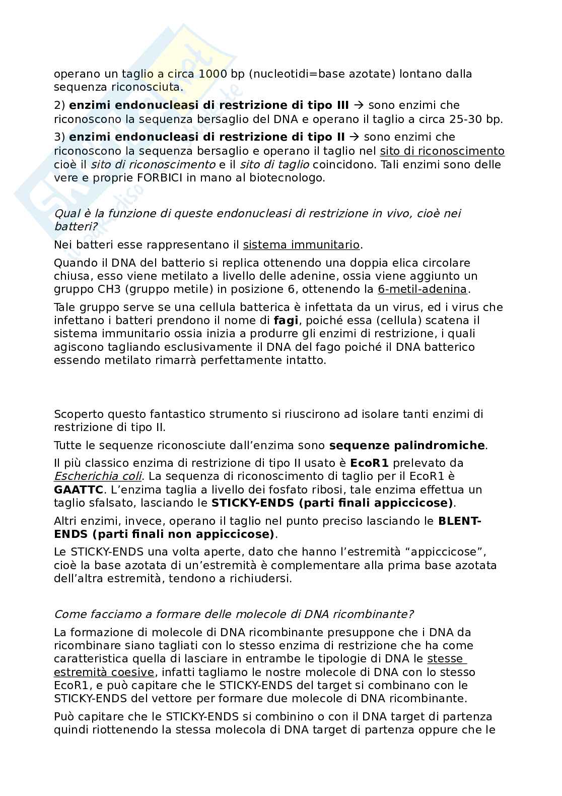 Appunti Metodologie biomolecolari Pag. 31
