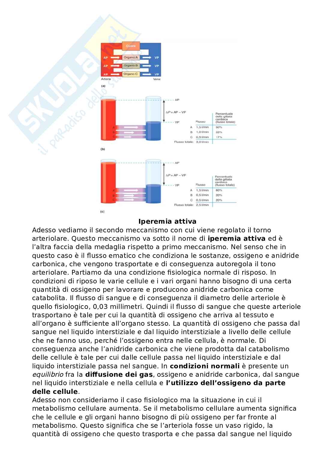 Emodinamica Pag. 16
