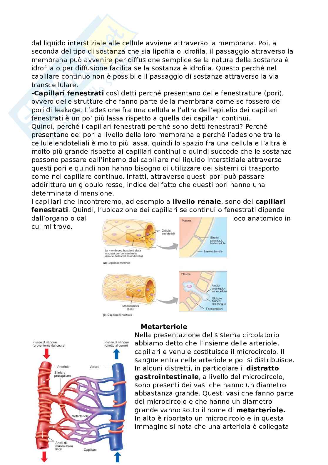 Emodinamica Pag. 21