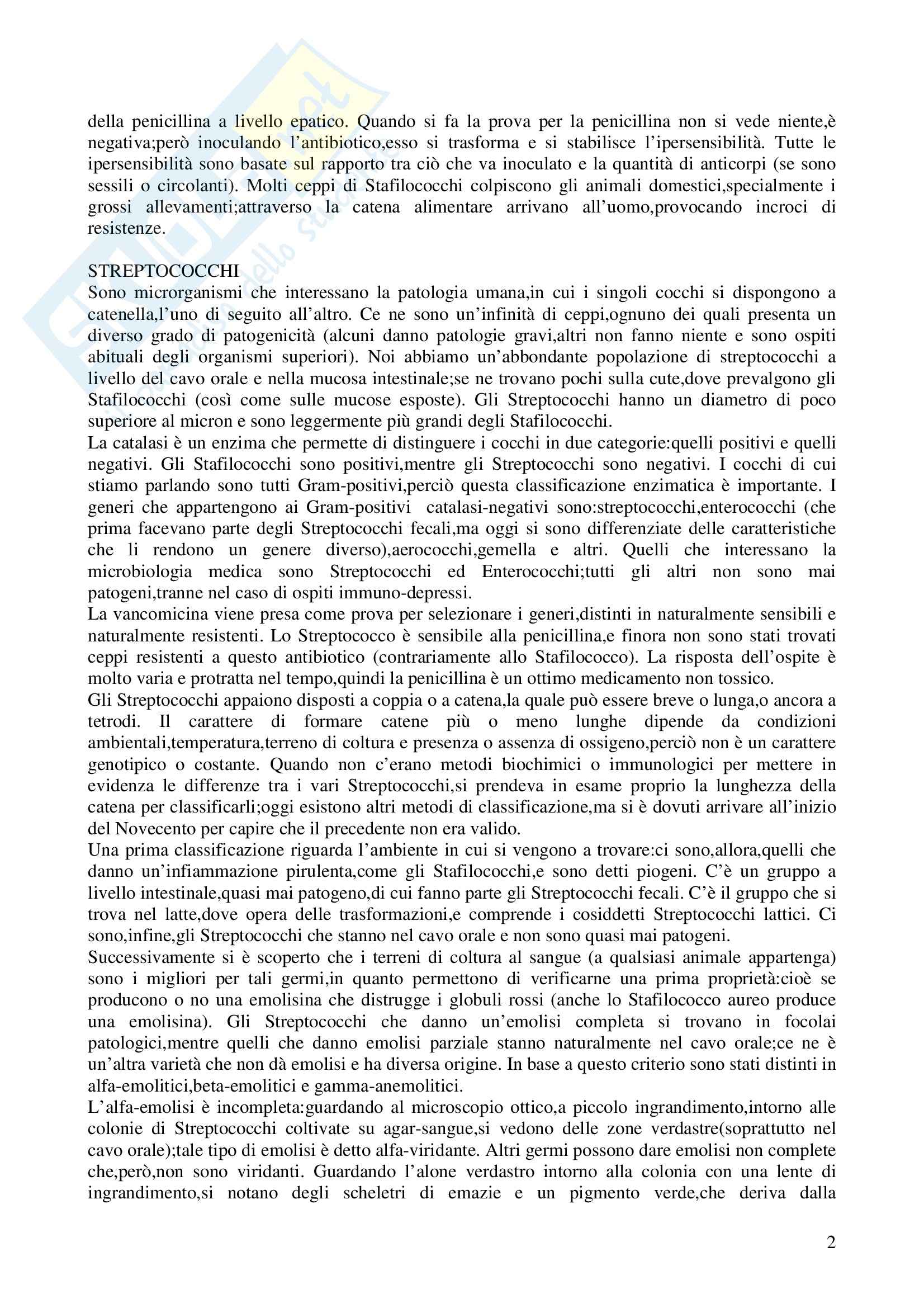 Microbiologia - stafilococchi e streptococchi Pag. 2