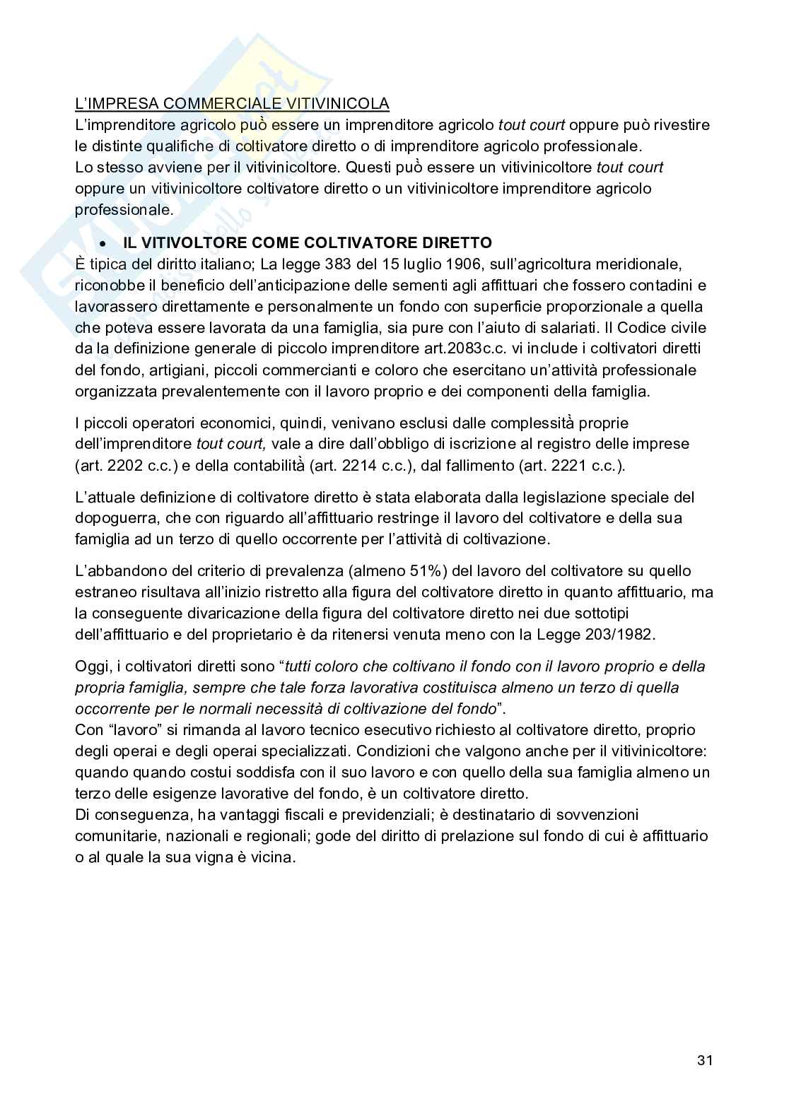 Schemi dell'esame di Diritto vitivinicolo  Pag. 31
