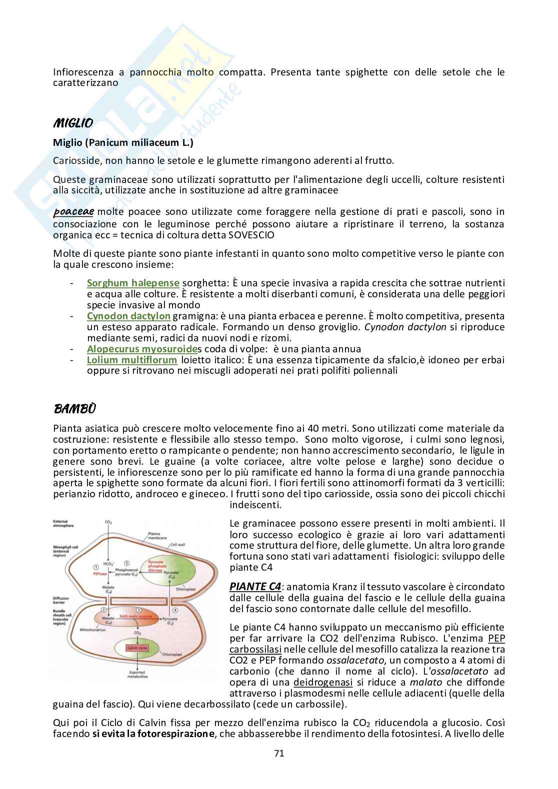 Biodiversità Pag. 71