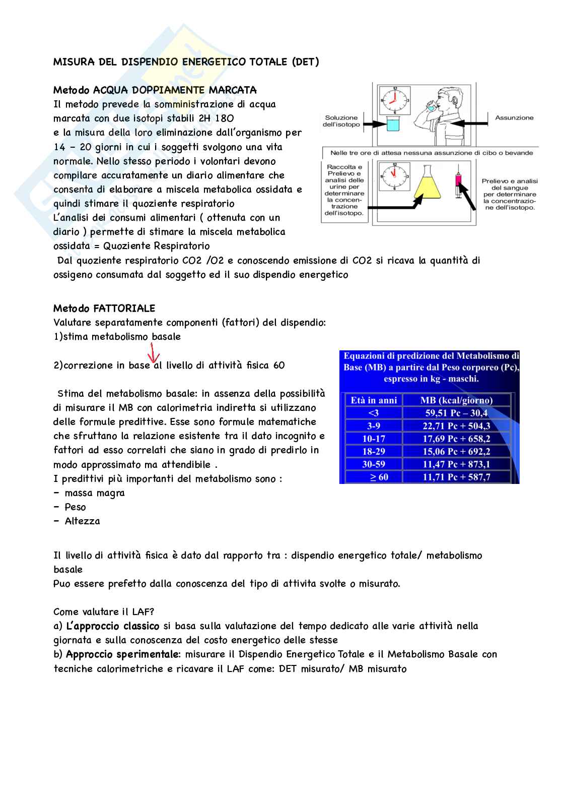 Nutrizione   Pag. 6