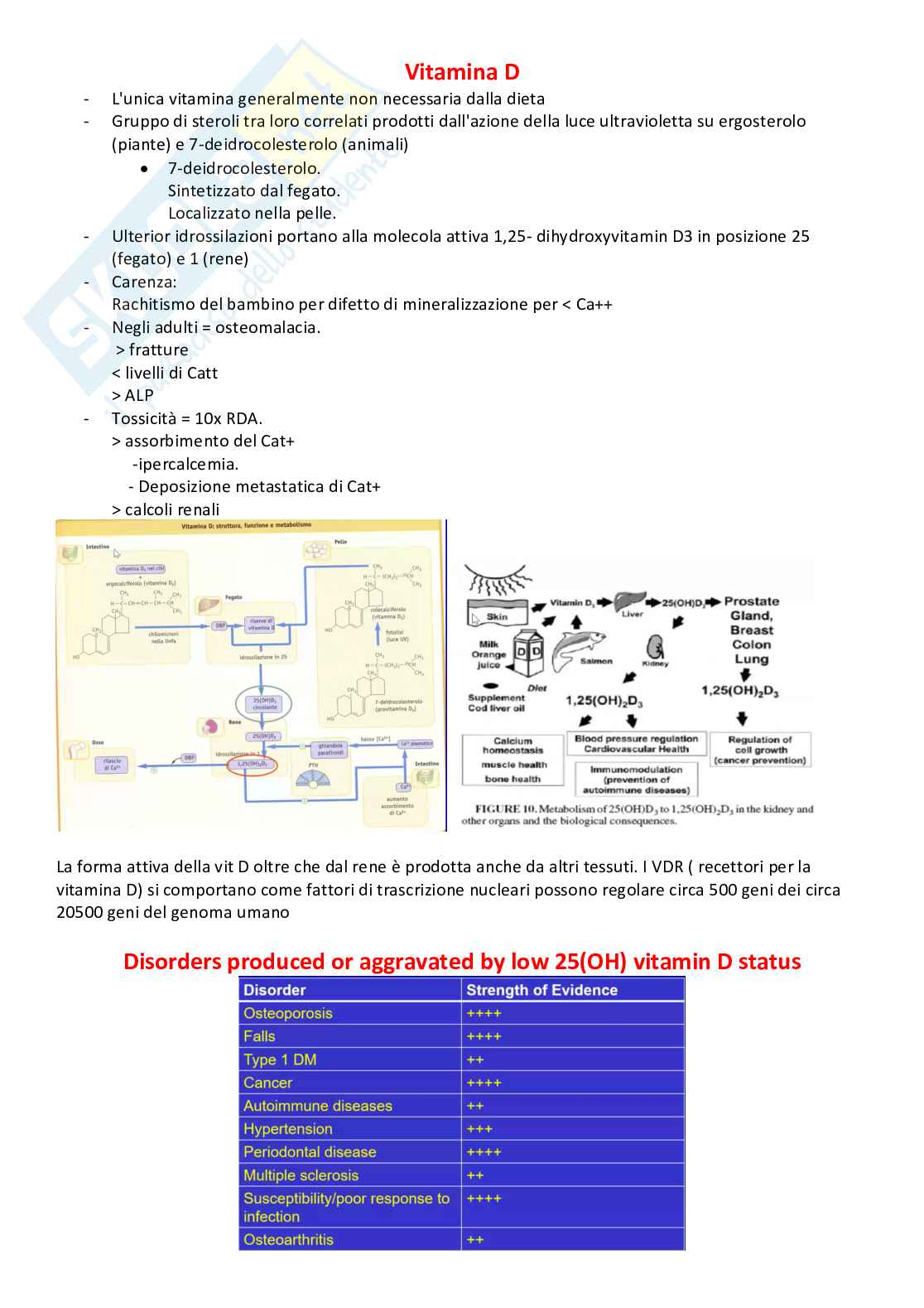Bio clinica Nutrienti Pag. 11