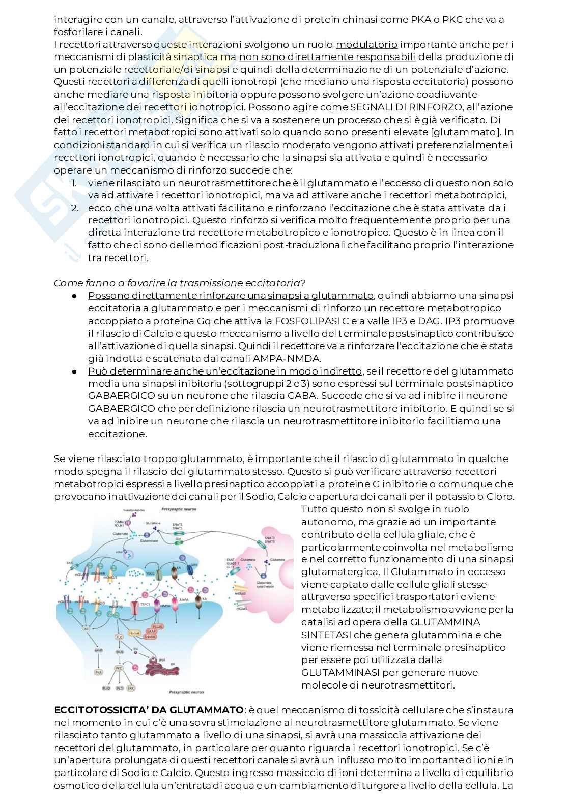 Quaderno appunti Neurofisiologia Pag. 21