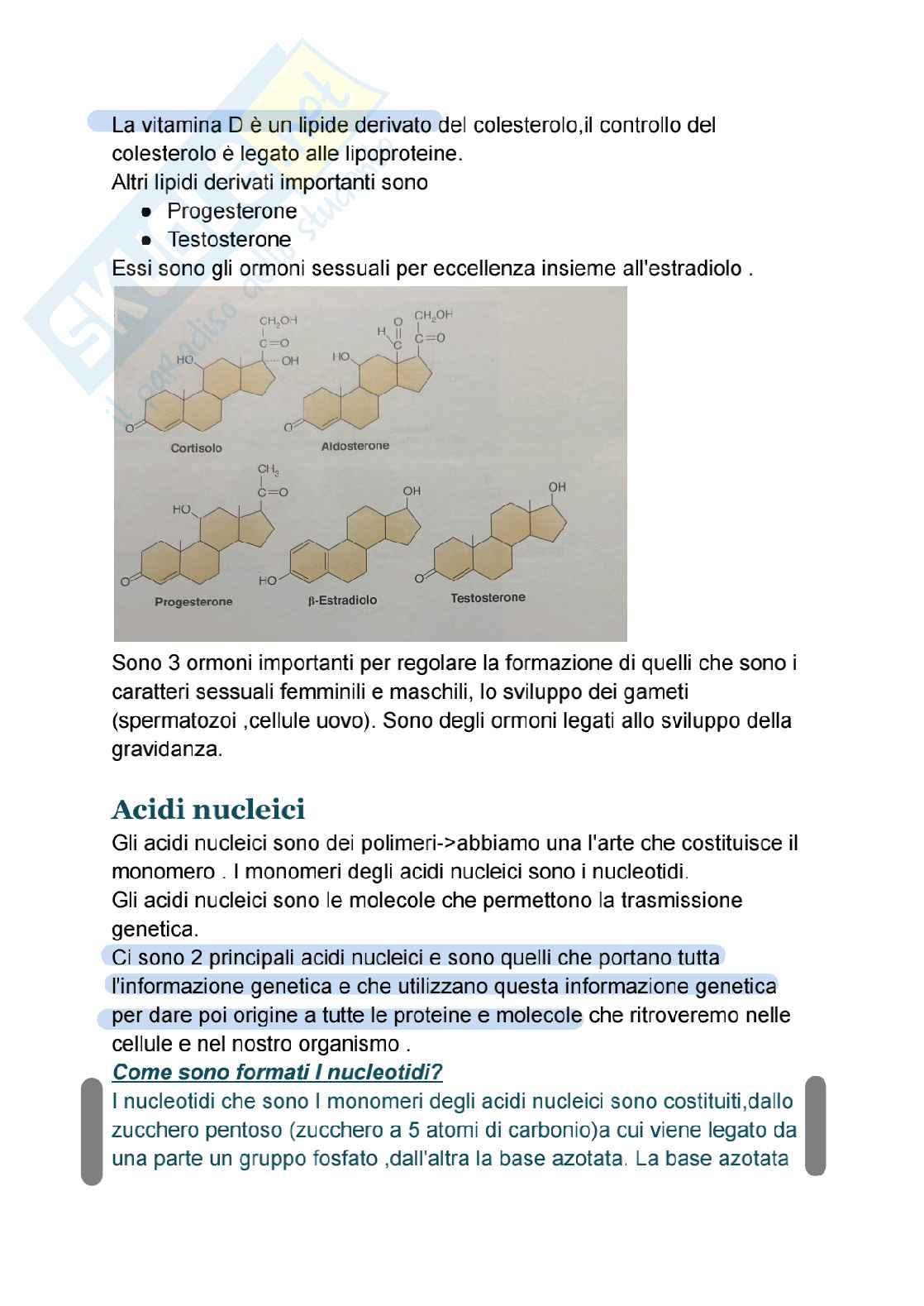 Riassunto esame biologia molecolare, Prof. Imperatore Roberta, libro consigliato Citologia e Istologia , Delle donne  Pag. 11