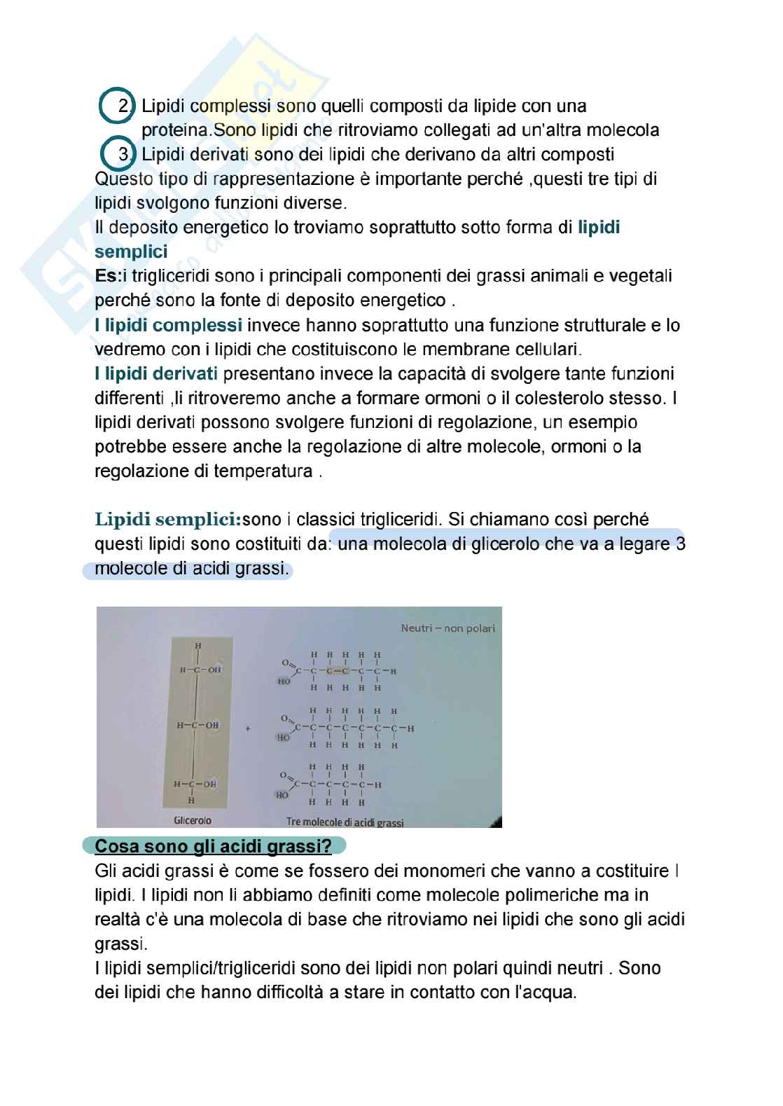 Riassunto esame biologia molecolare, Prof. Imperatore Roberta, libro consigliato Citologia e Istologia , Delle donne  Pag. 2