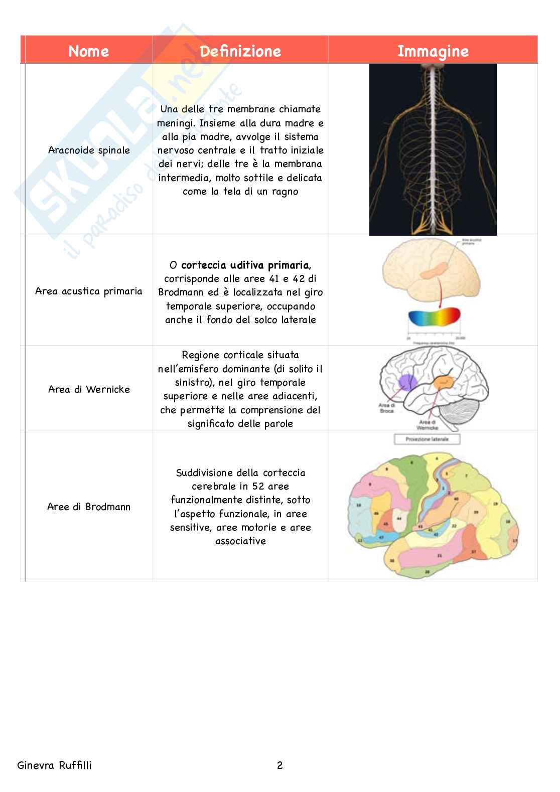 Glossario Anatomia - Neuroanatomia Pag. 2