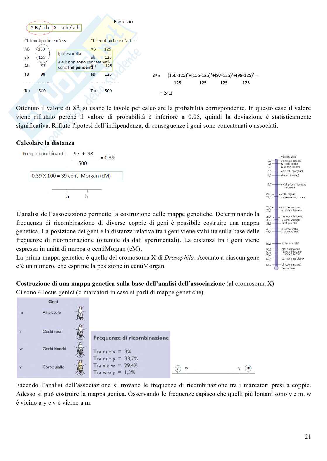 Genetica - parte1 Pag. 21