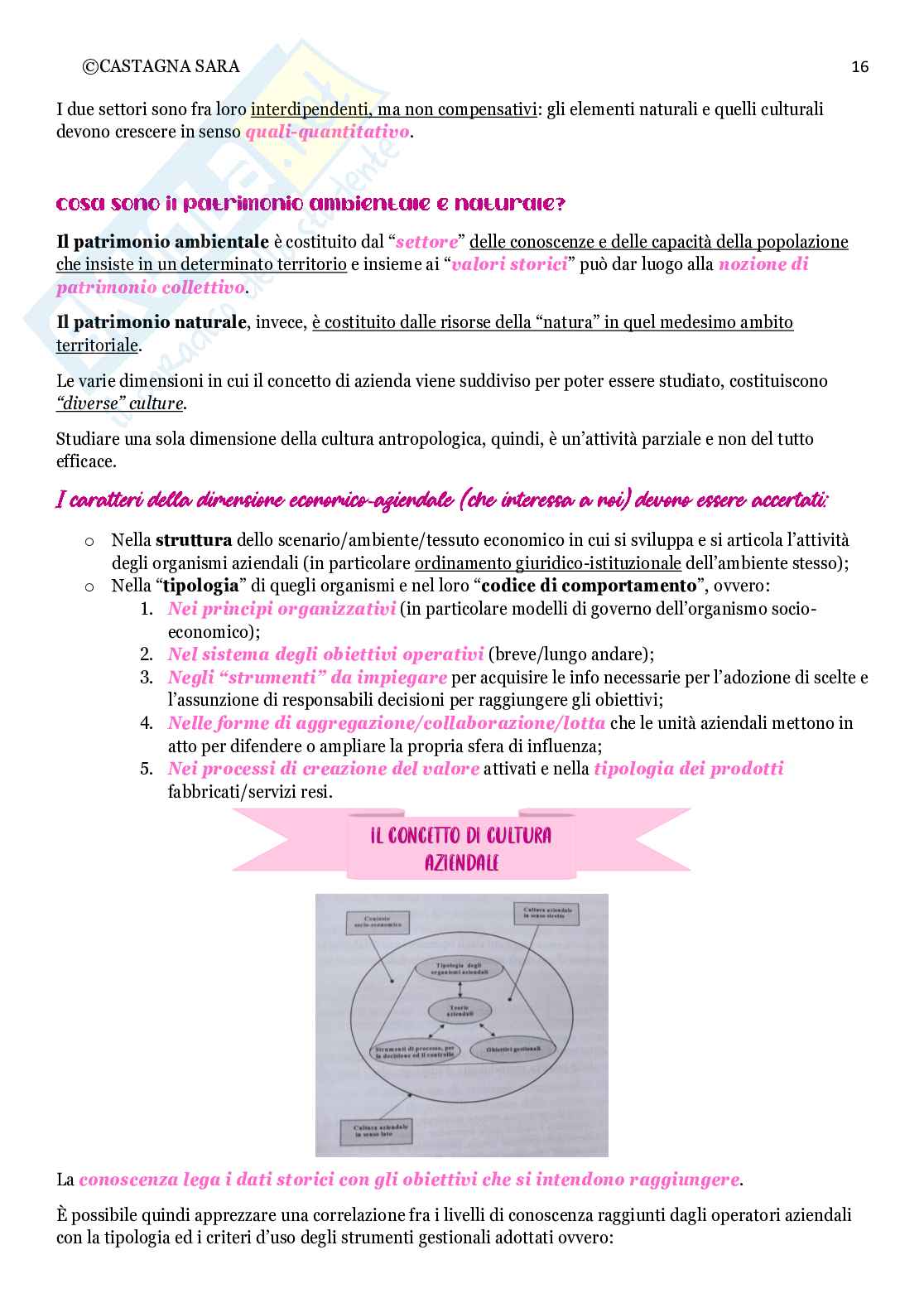 Riassunto esame Economia aziendale, Prof. Barnabè Federico, libro consigliato Principi di economia aziendale, Giuseppe Catturi Pag. 16