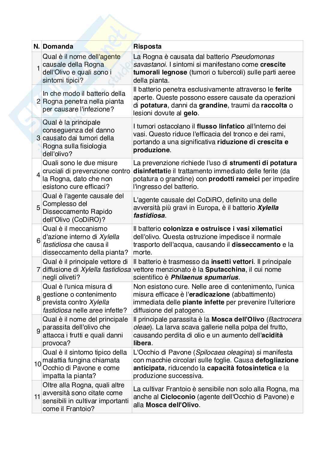 Appunti introduzione Olivicoltura  Pag. 11