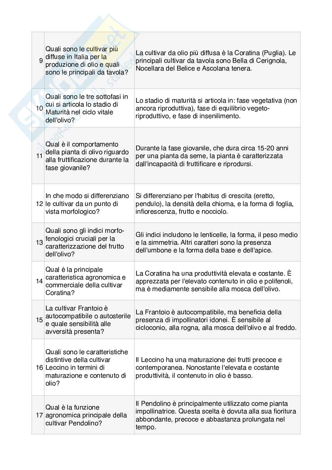 Appunti introduzione Olivicoltura  Pag. 2