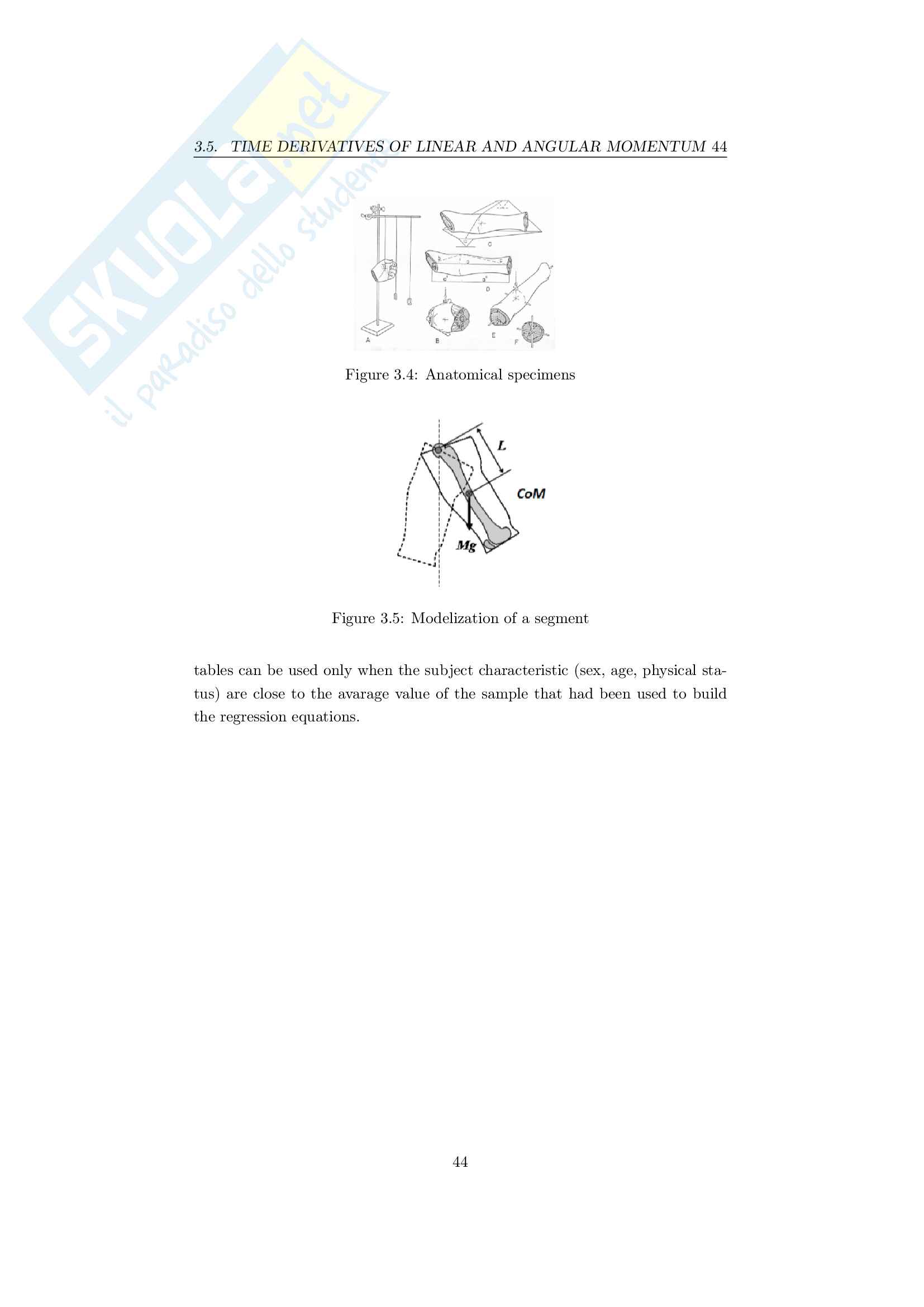 Dynamical Modeling of Movement Pag. 46