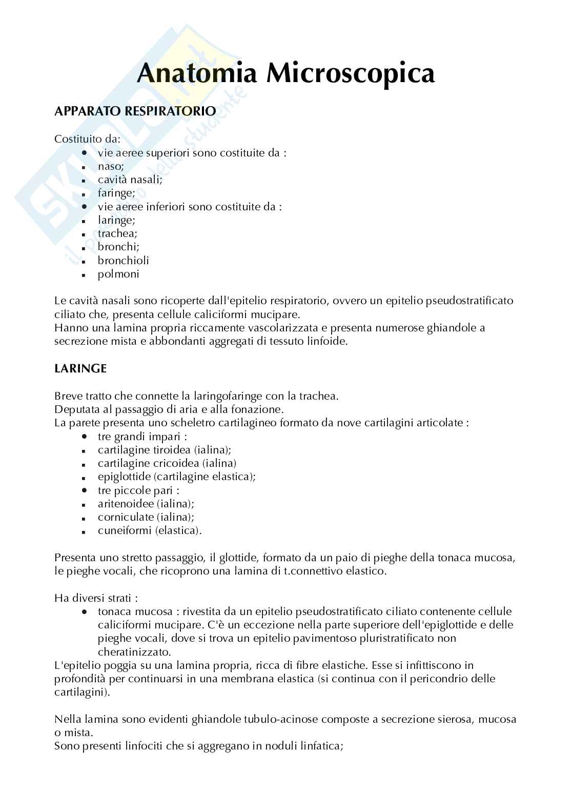 Appunti di Istologia sull'anatomia microscopica-apparato respiratorio e urinario Pag. 1