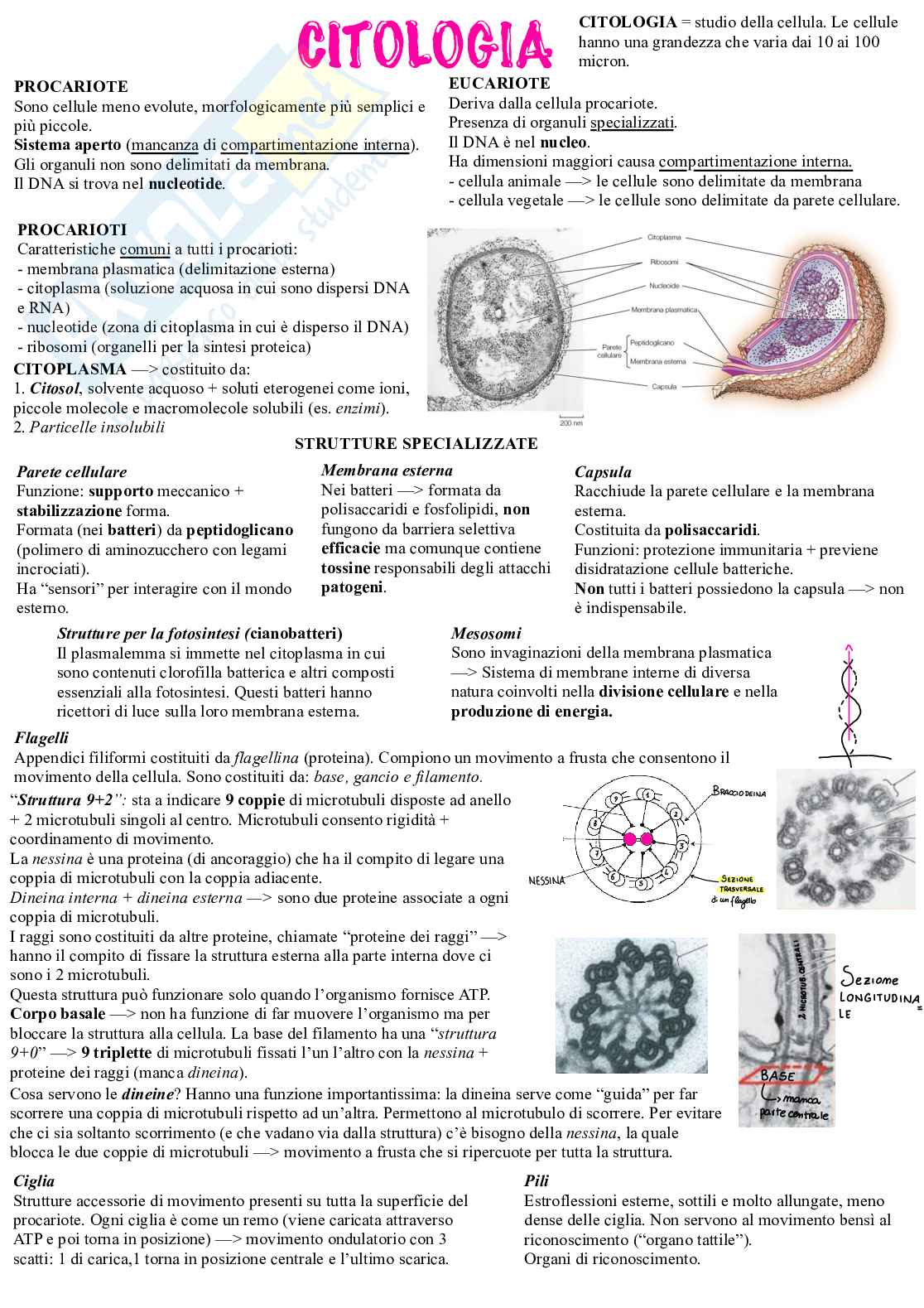 Biologia e Fisiologia vegetale Pag. 2