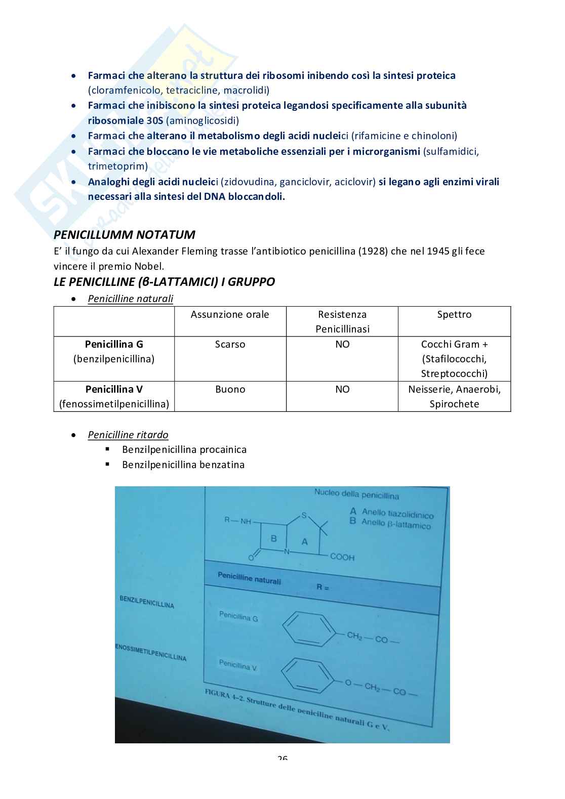 Farmacologia Pag. 26