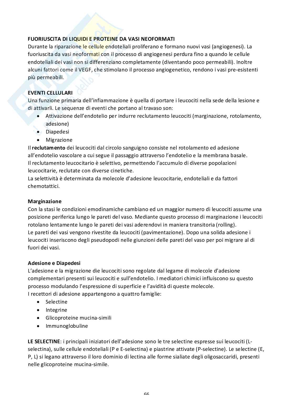 Farmacologia Pag. 66
