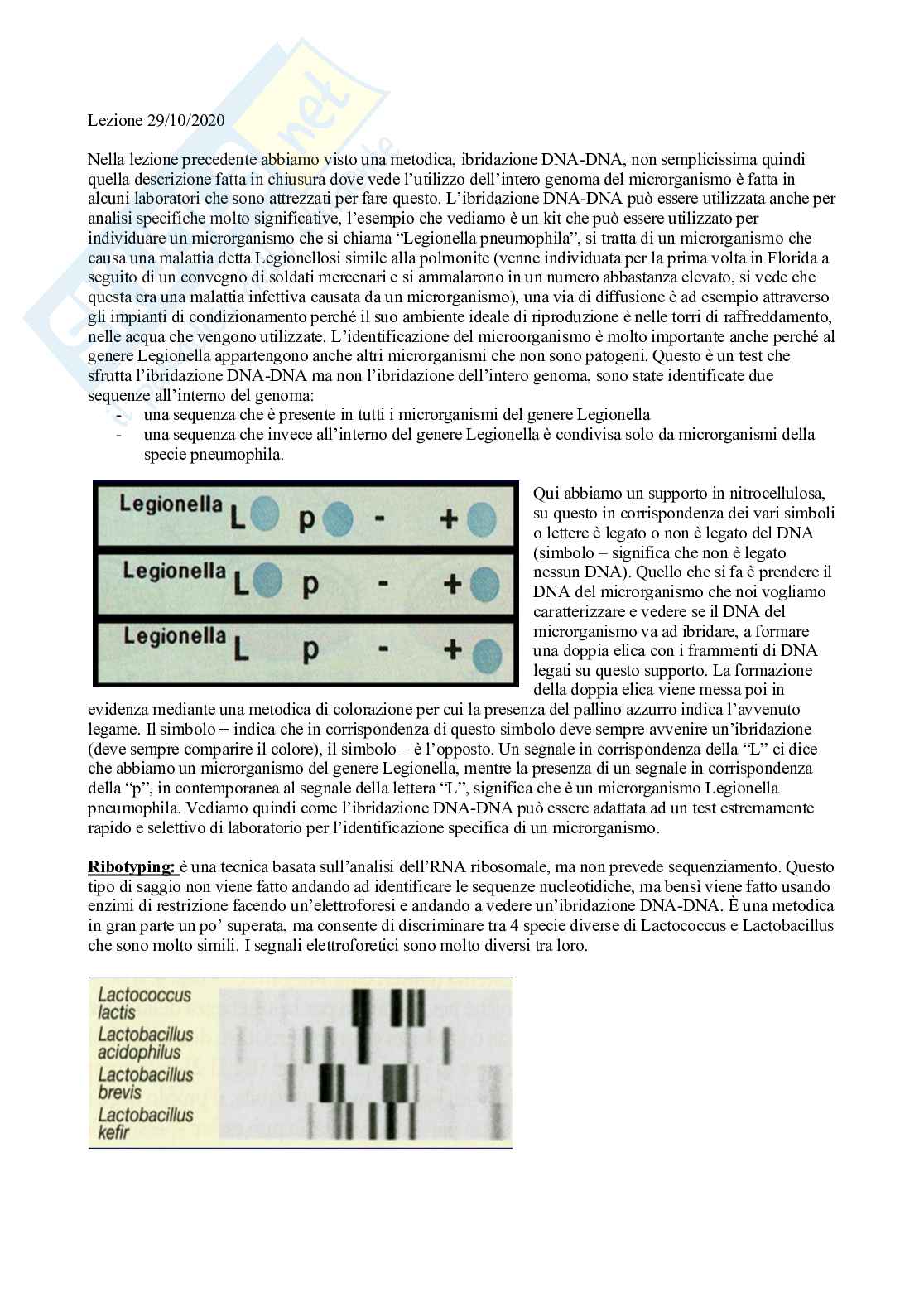 Microbiologia con laboratorio - Lezione 14 Pag. 1