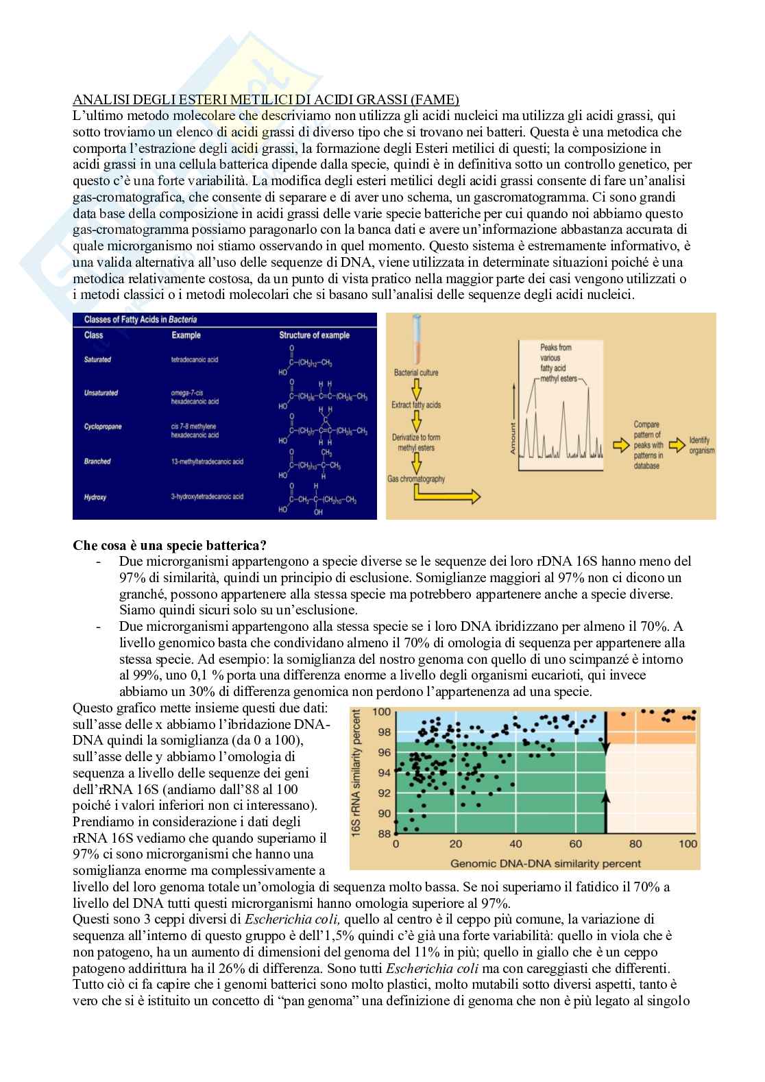 Microbiologia con laboratorio - Lezione 14 Pag. 2