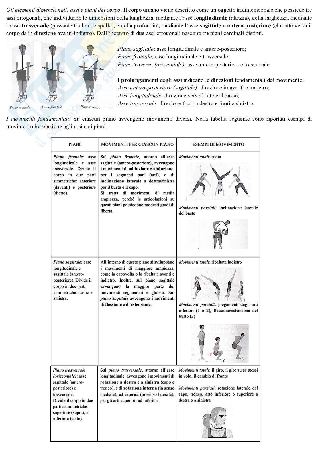 Riassunto esame Geometria e motricità, Prof. Vicini Marisa, libro consigliato Istituzioni di Scienze Motorie, Marisa Vicini Pag. 11