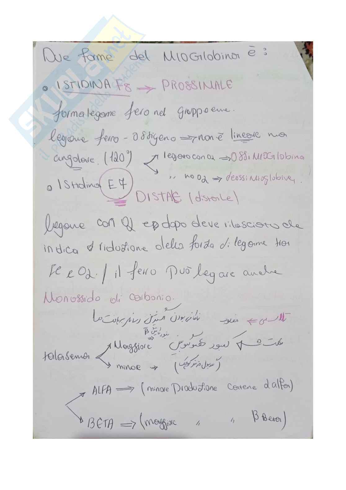 Appunti Biochimica generale Pag. 46