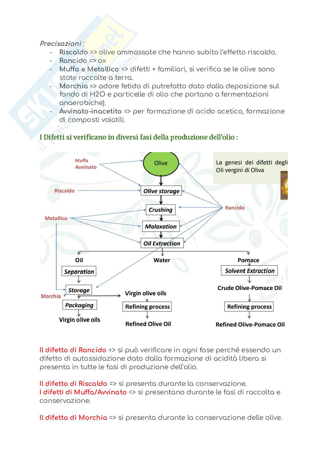 Analisi sensoriale Pag. 31