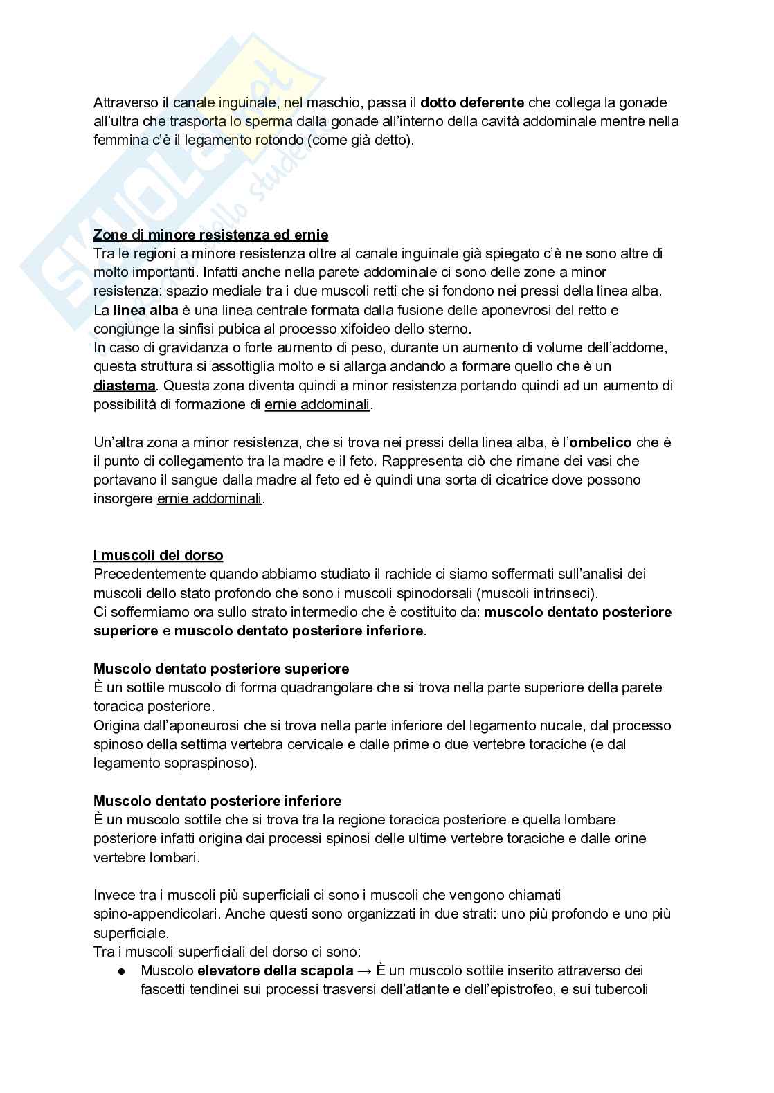 Anatomia I - Torace, diaframma e cingolo pelvico Pag. 21