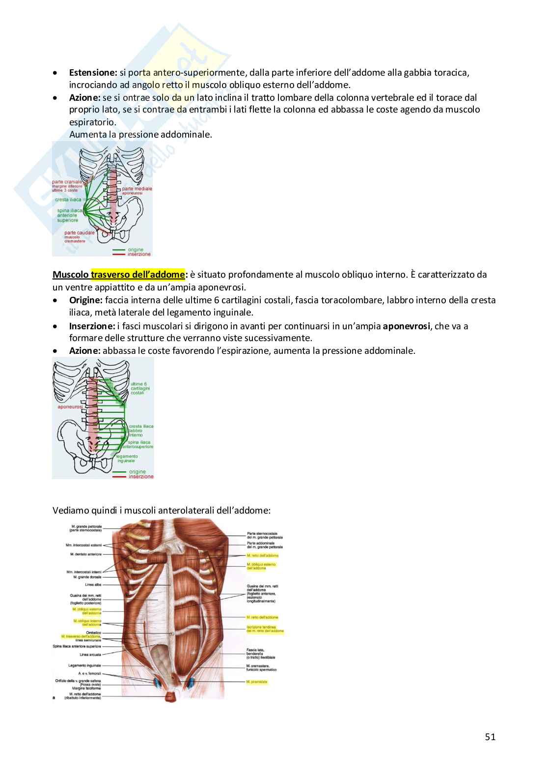 Anatomia generale Pag. 51
